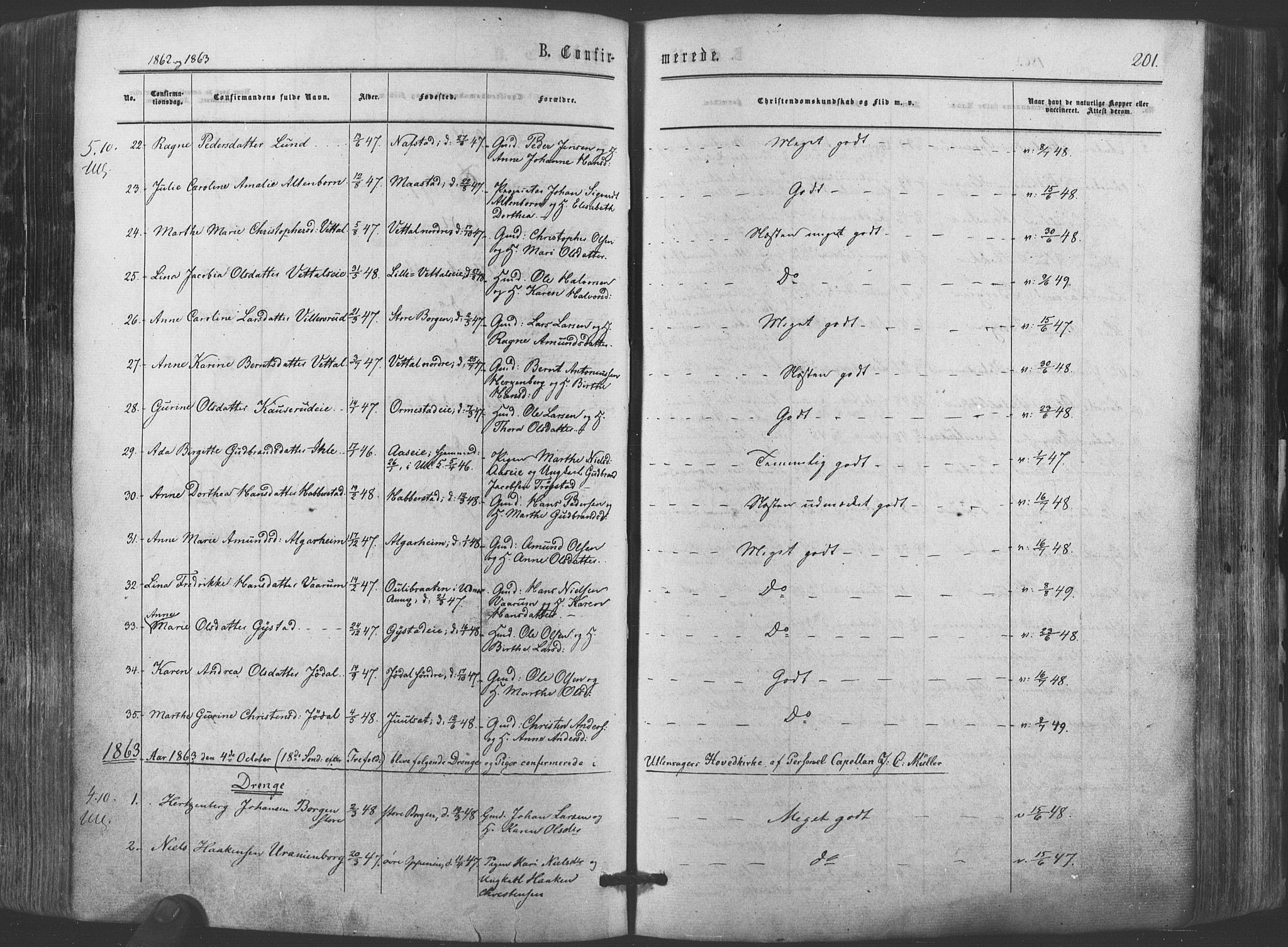Ullensaker prestekontor Kirkebøker, SAO/A-10236a/F/Fa/L0016: Parish register (official) no. I 16, 1863-1875, p. 201