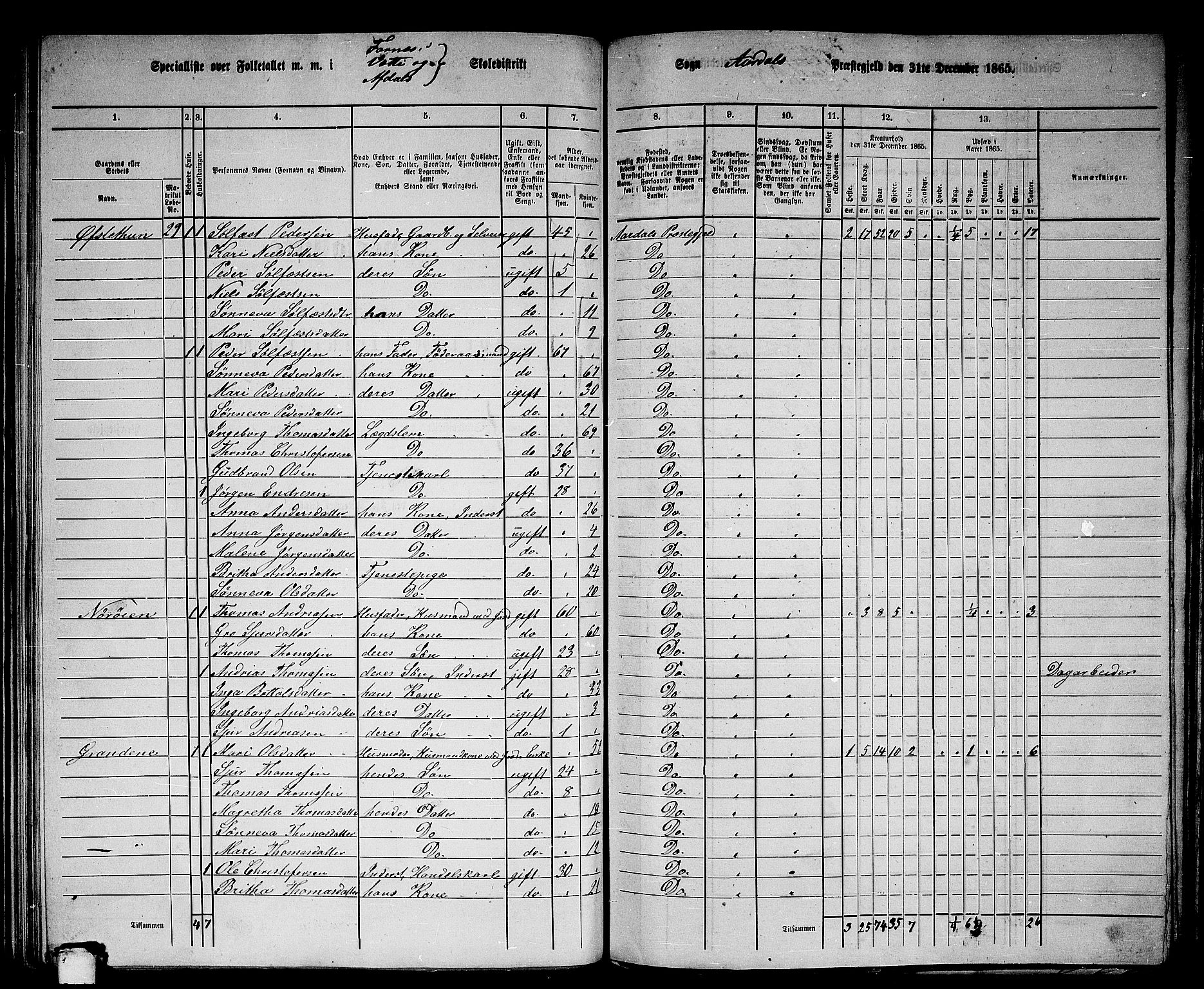 RA, 1865 census for Årdal, 1865, p. 82