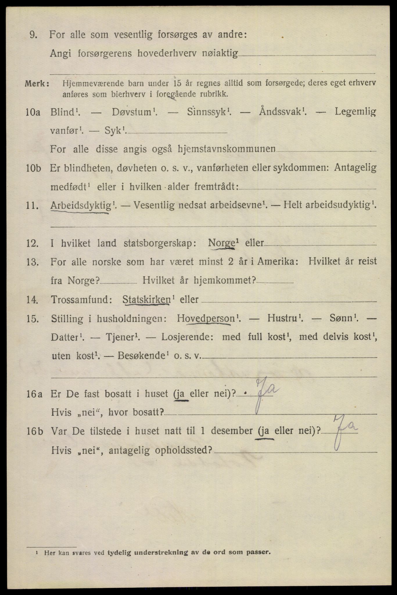 SAKO, 1920 census for Notodden, 1920, p. 16869