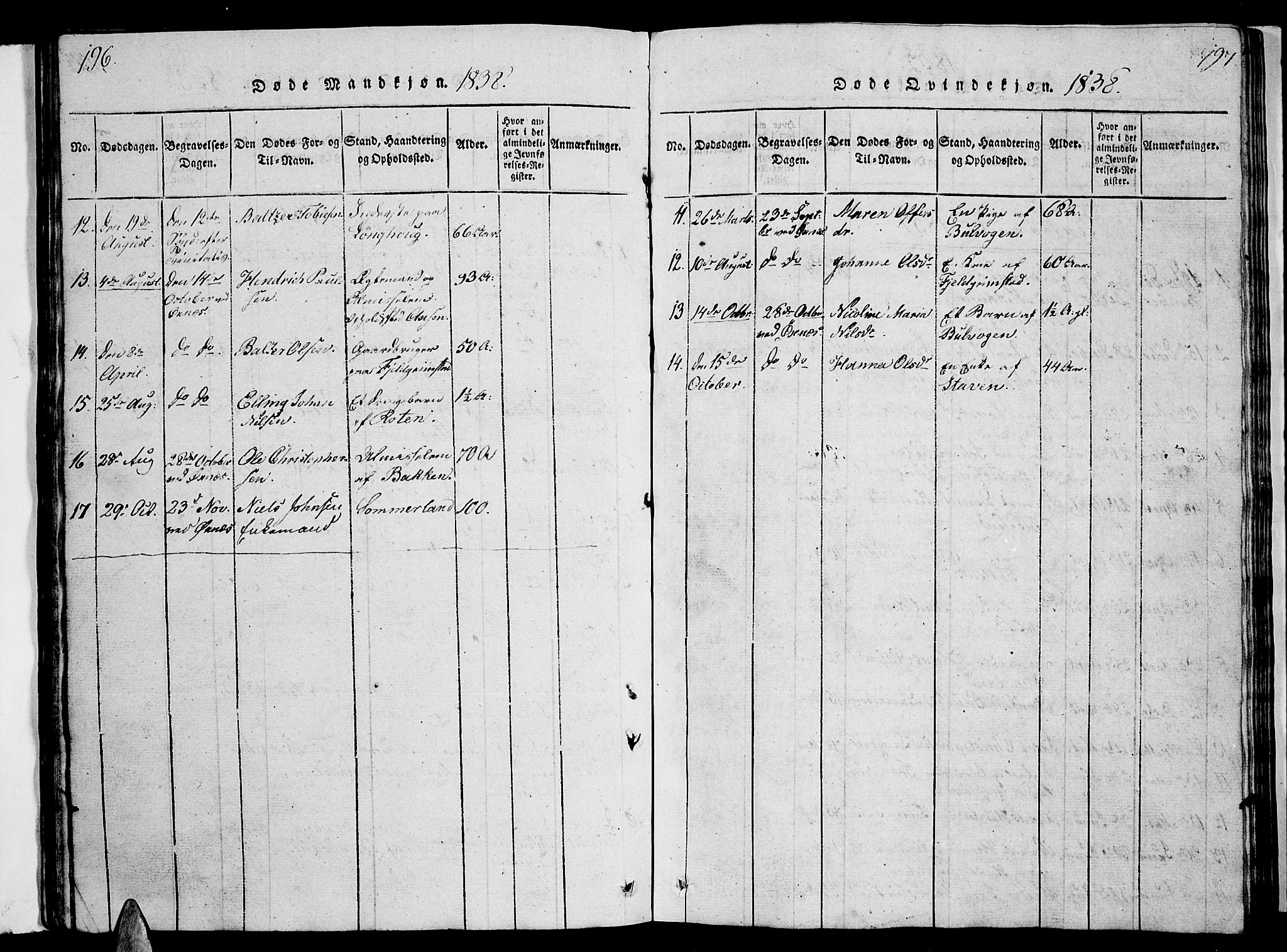 Ministerialprotokoller, klokkerbøker og fødselsregistre - Nordland, AV/SAT-A-1459/893/L1346: Parish register (copy) no. 893C01, 1820-1858, p. 196-197