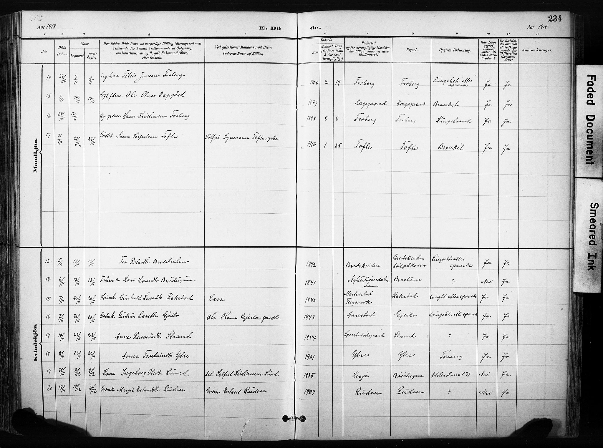 Skjåk prestekontor, AV/SAH-PREST-072/H/Ha/Hab/L0003: Parish register (copy) no. 3, 1893-1932, p. 234
