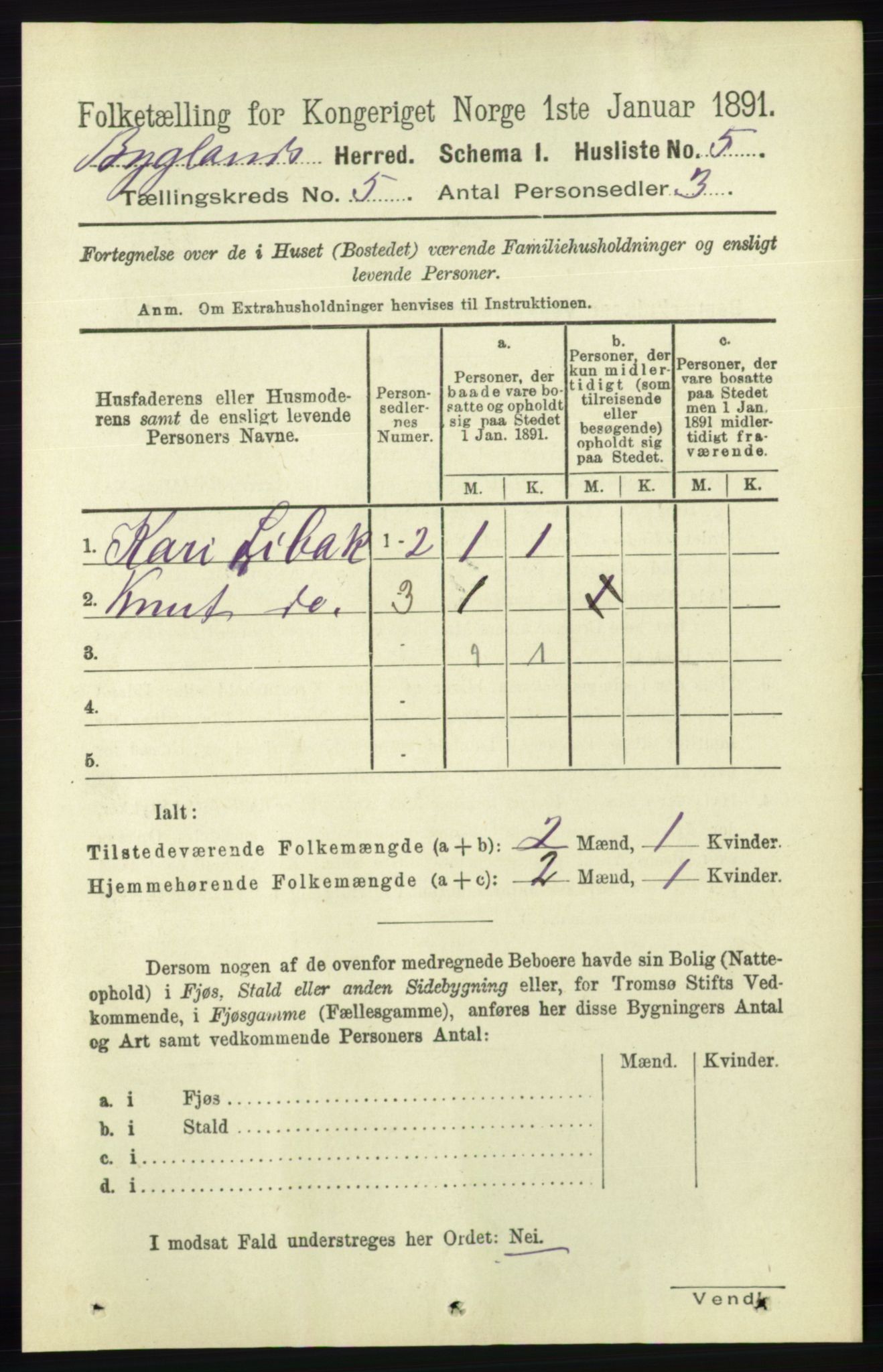 RA, 1891 census for 0938 Bygland, 1891, p. 1002