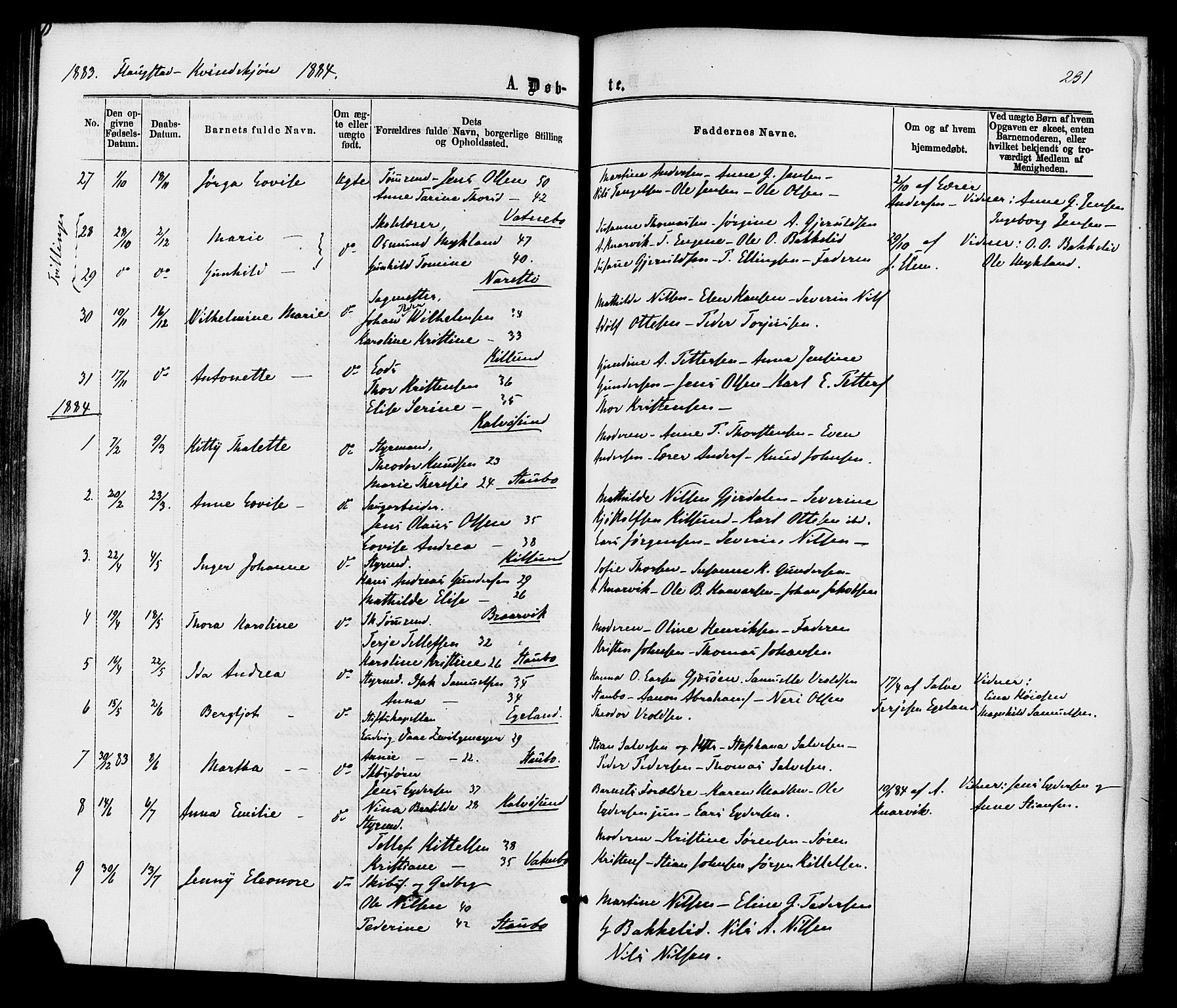 Dypvåg sokneprestkontor, AV/SAK-1111-0007/F/Fa/Faa/L0007: Parish register (official) no. A 7 /2, 1877-1884, p. 231