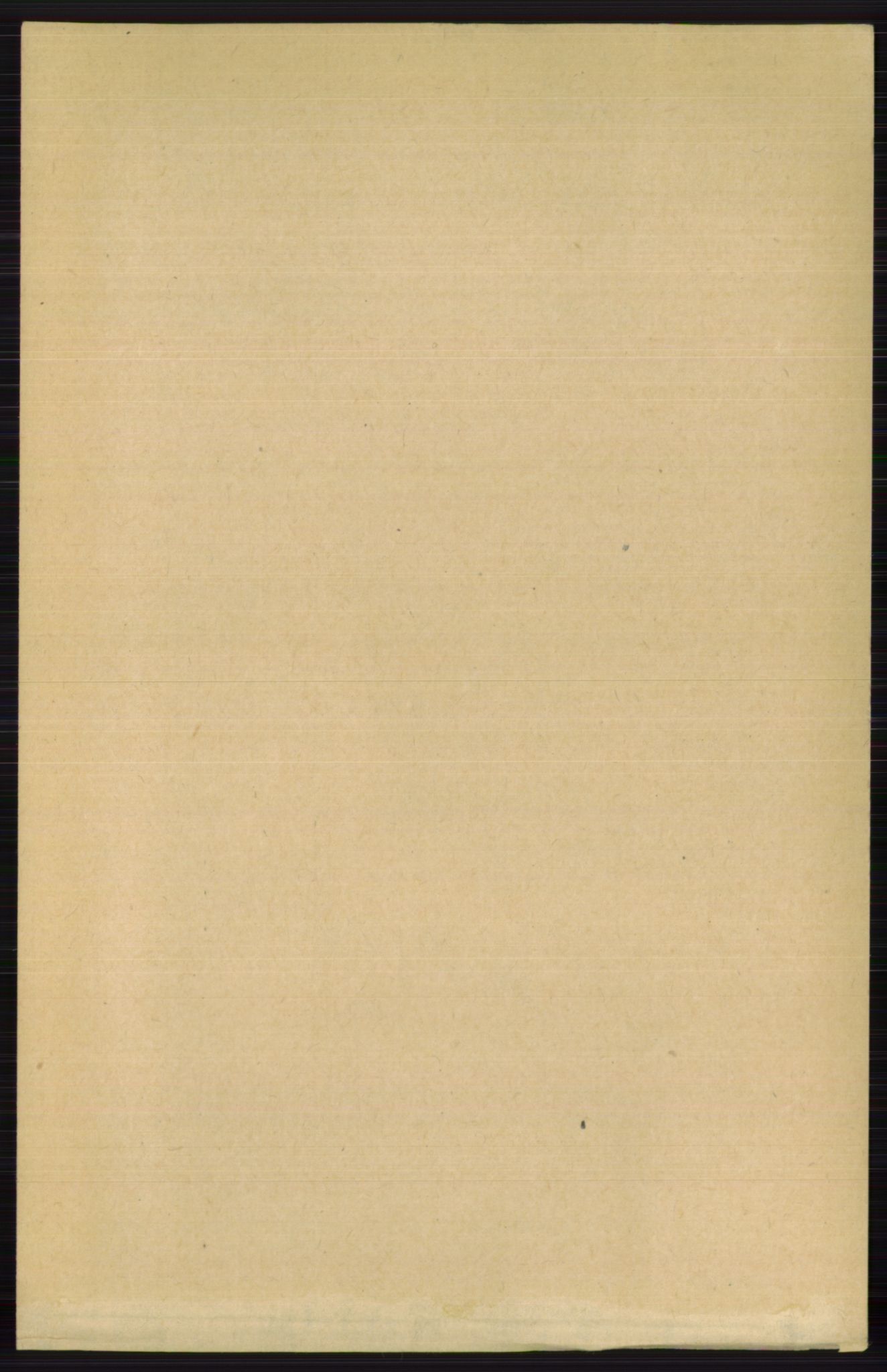 RA, 1891 census for 0616 Nes, 1891, p. 4335
