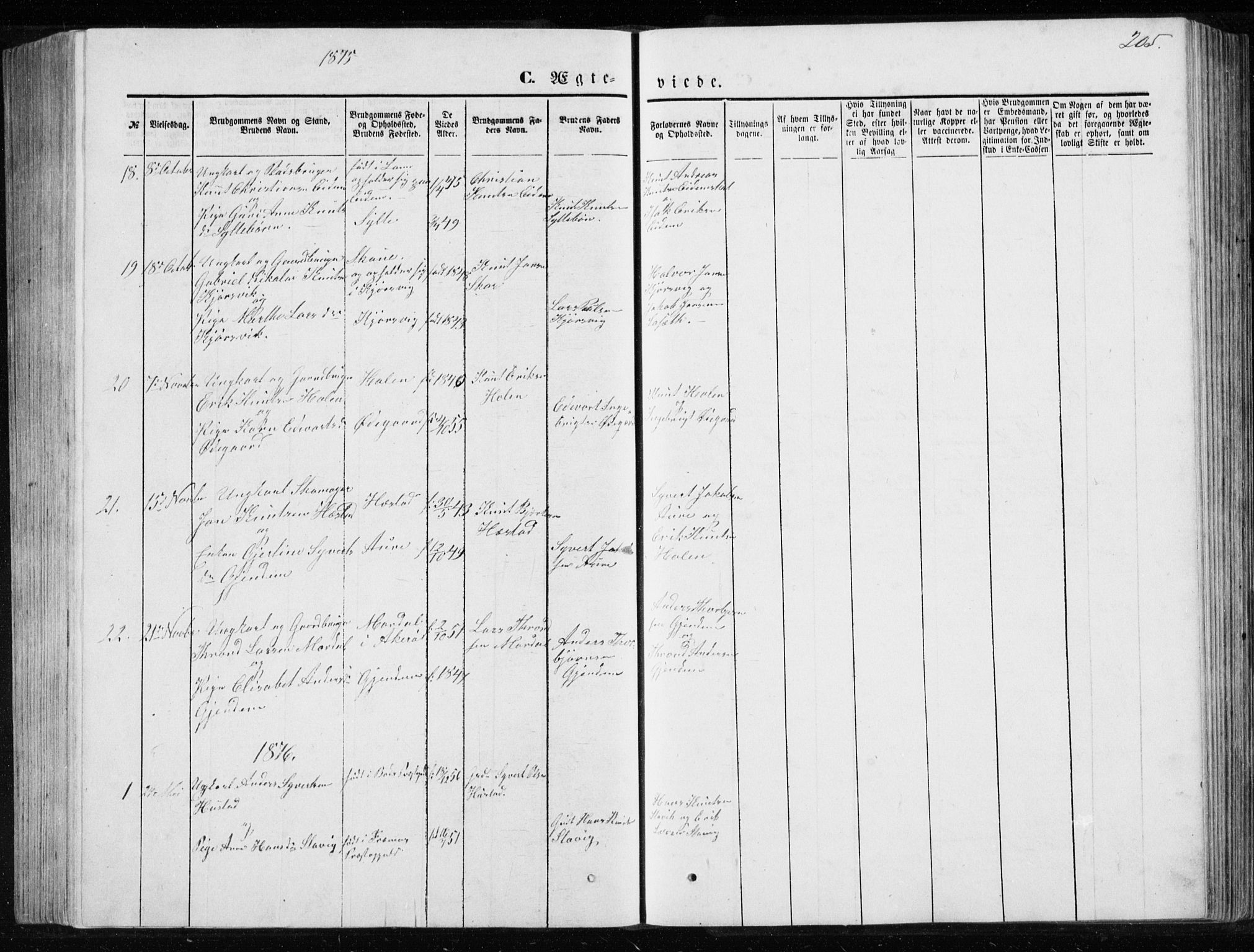 Ministerialprotokoller, klokkerbøker og fødselsregistre - Møre og Romsdal, AV/SAT-A-1454/565/L0754: Parish register (copy) no. 565C03, 1870-1896, p. 205