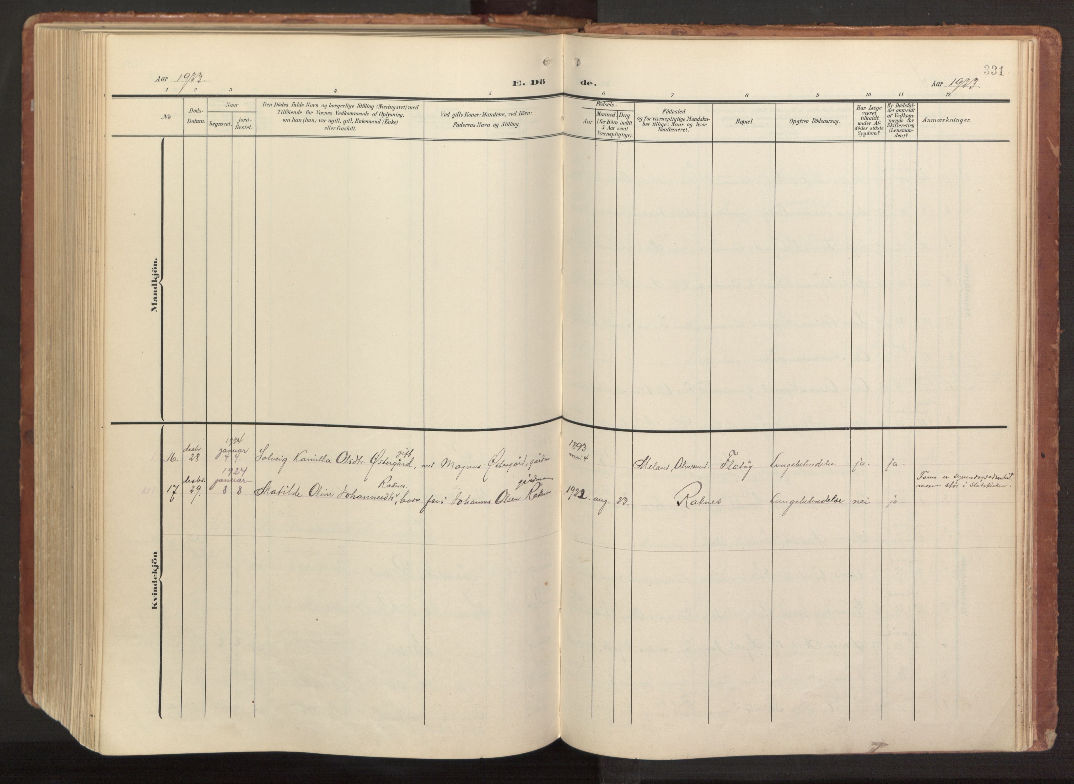 Hamre sokneprestembete, AV/SAB-A-75501/H/Ha/Haa/Haab/L0002: Parish register (official) no. B 2, 1905-1924, p. 331