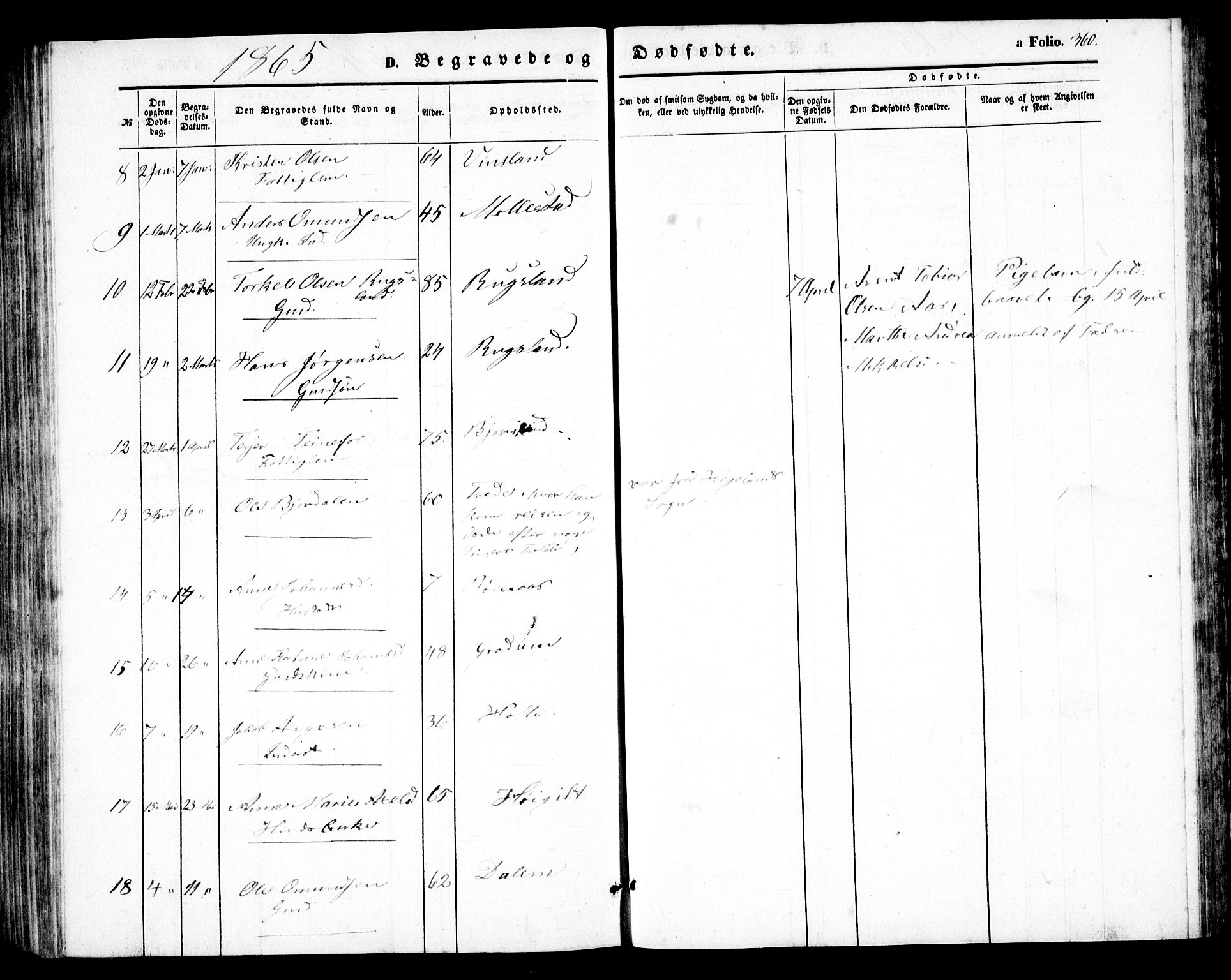 Birkenes sokneprestkontor, AV/SAK-1111-0004/F/Fb/L0002: Parish register (copy) no. B 2, 1849-1876, p. 360