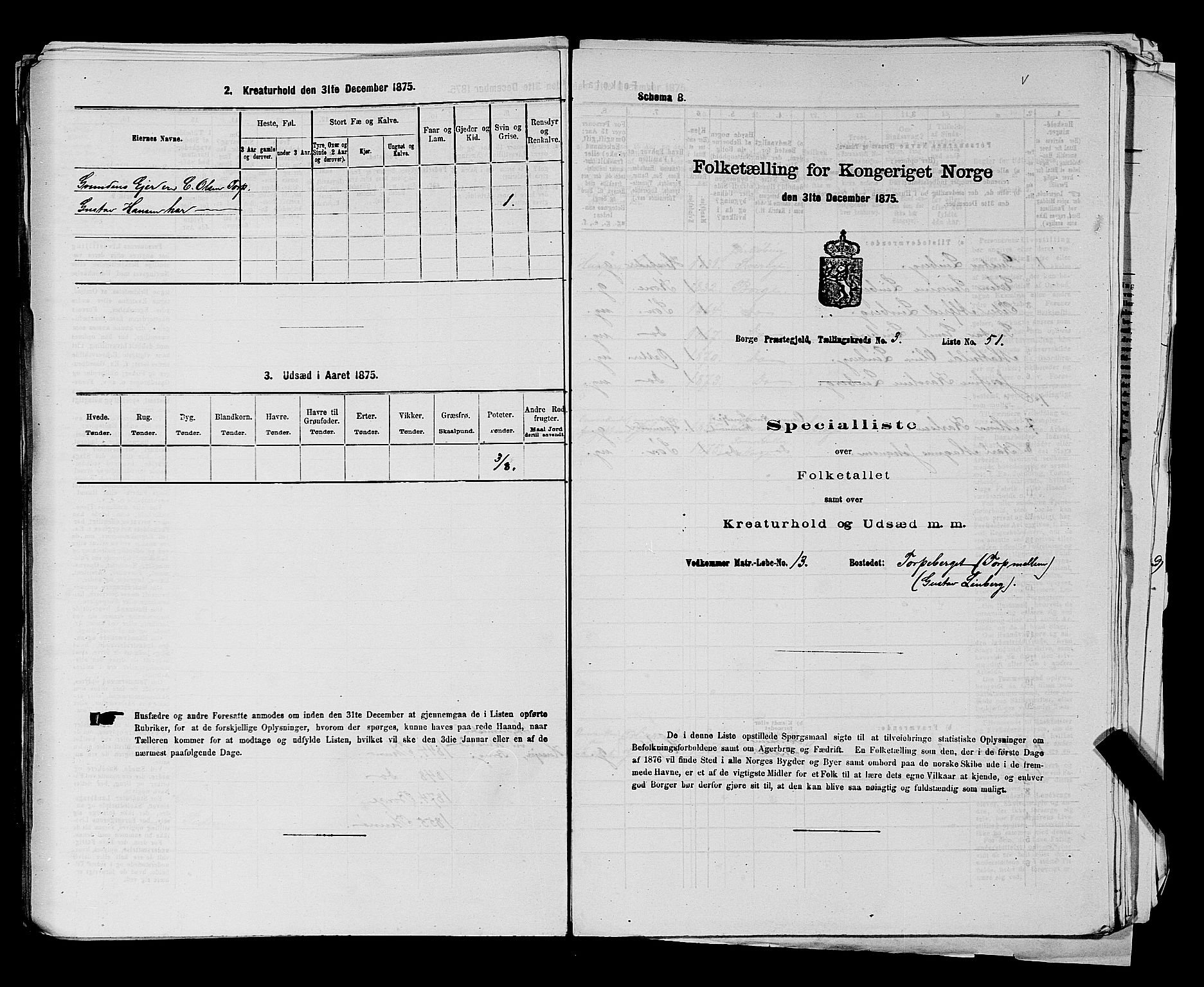 RA, 1875 census for 0113P Borge, 1875, p. 491