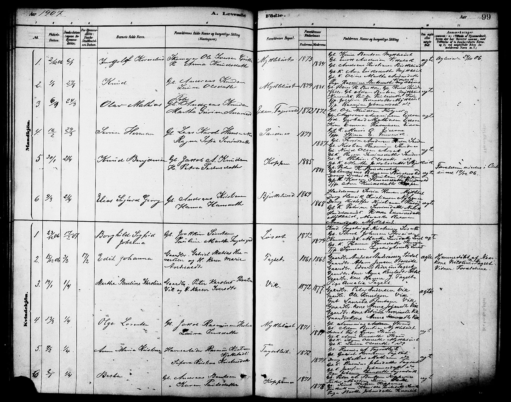 Ministerialprotokoller, klokkerbøker og fødselsregistre - Møre og Romsdal, AV/SAT-A-1454/502/L0027: Parish register (copy) no. 502C01, 1878-1908, p. 99