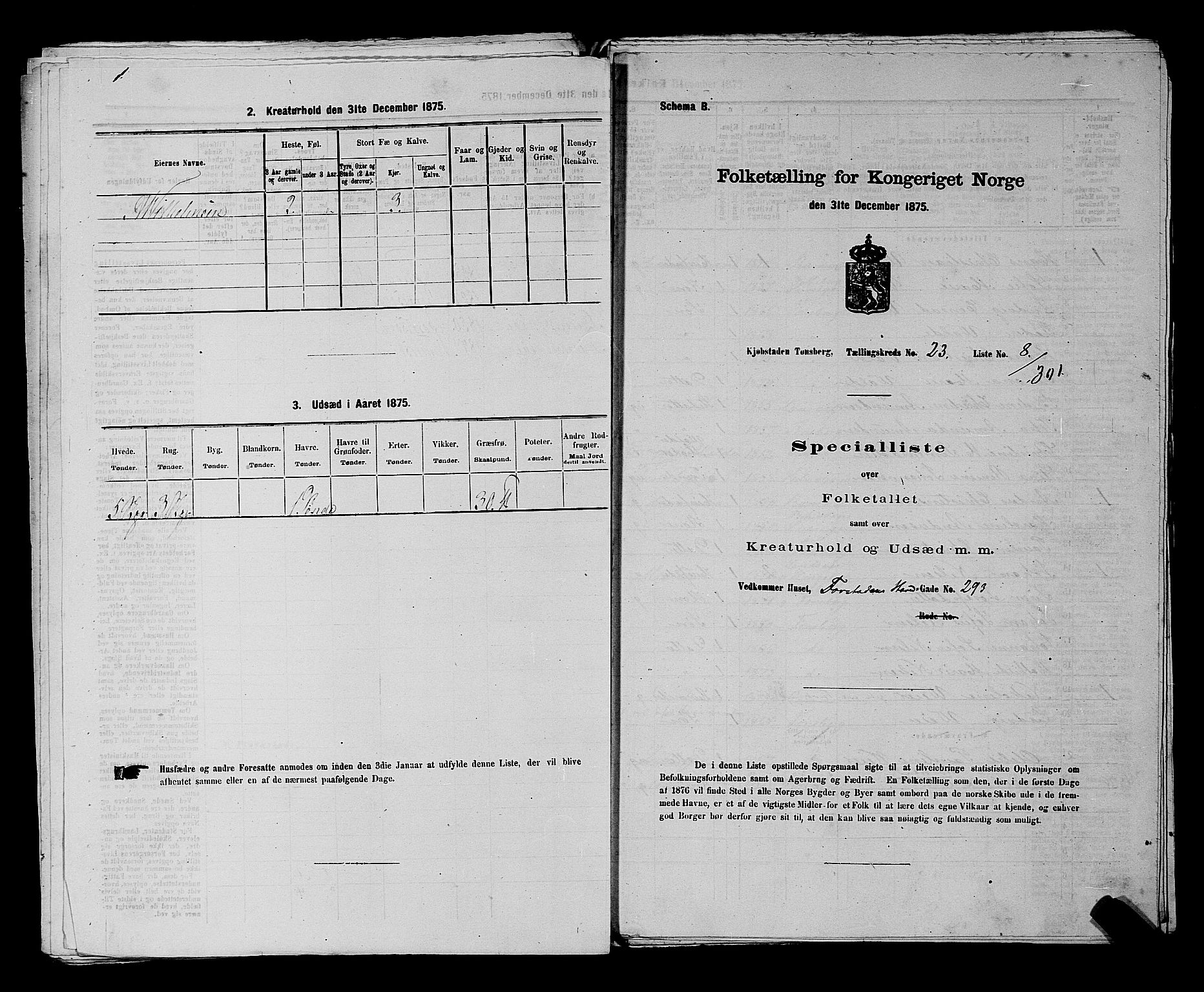 SAKO, 1875 census for 0705P Tønsberg, 1875, p. 738