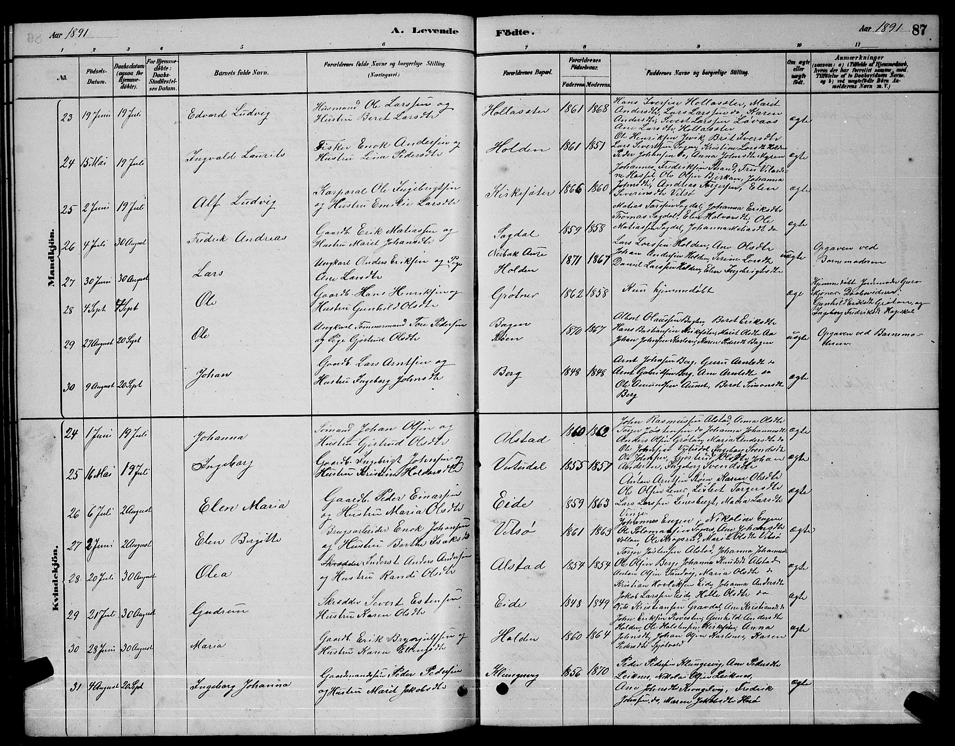 Ministerialprotokoller, klokkerbøker og fødselsregistre - Sør-Trøndelag, AV/SAT-A-1456/630/L0504: Parish register (copy) no. 630C02, 1879-1898, p. 87