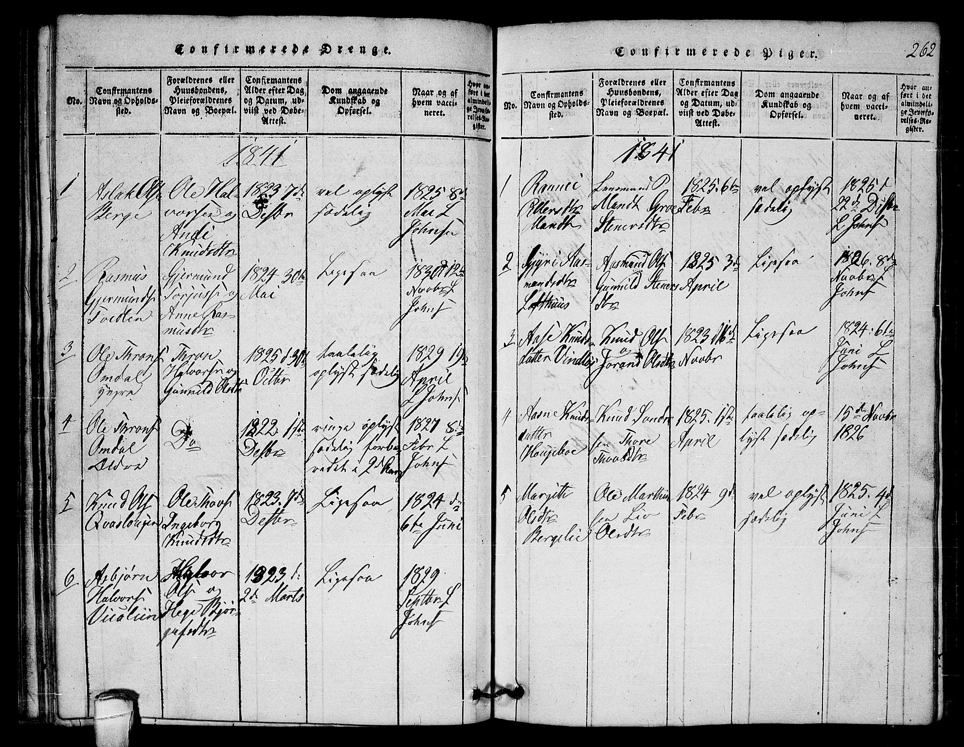 Lårdal kirkebøker, SAKO/A-284/G/Gb/L0001: Parish register (copy) no. II 1, 1815-1865, p. 262