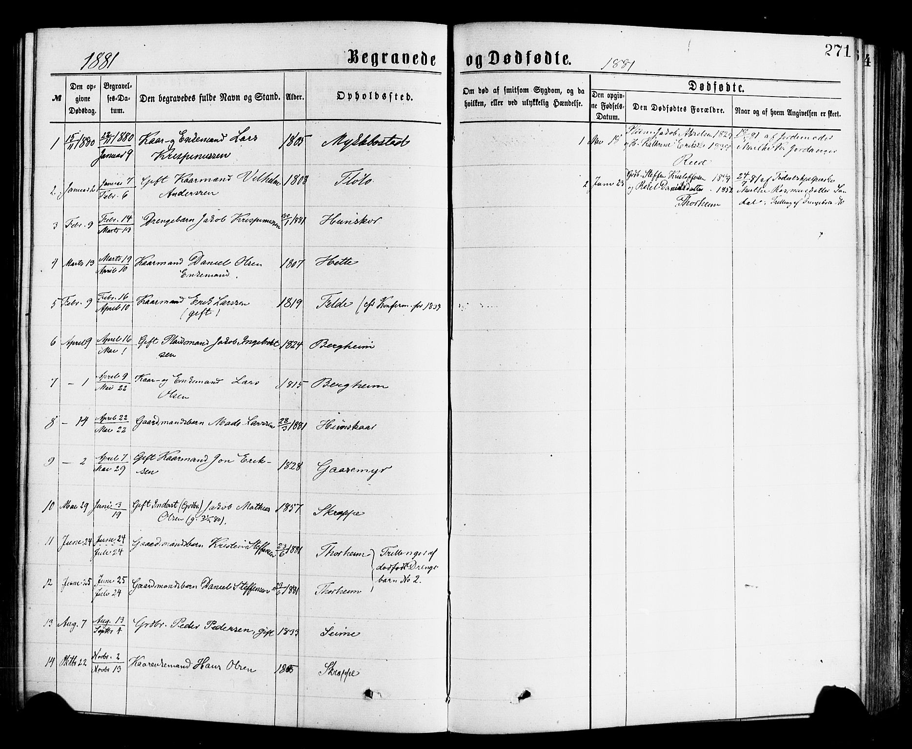Gloppen sokneprestembete, SAB/A-80101/H/Haa/Haac/L0001: Parish register (official) no. C 1, 1871-1886, p. 271