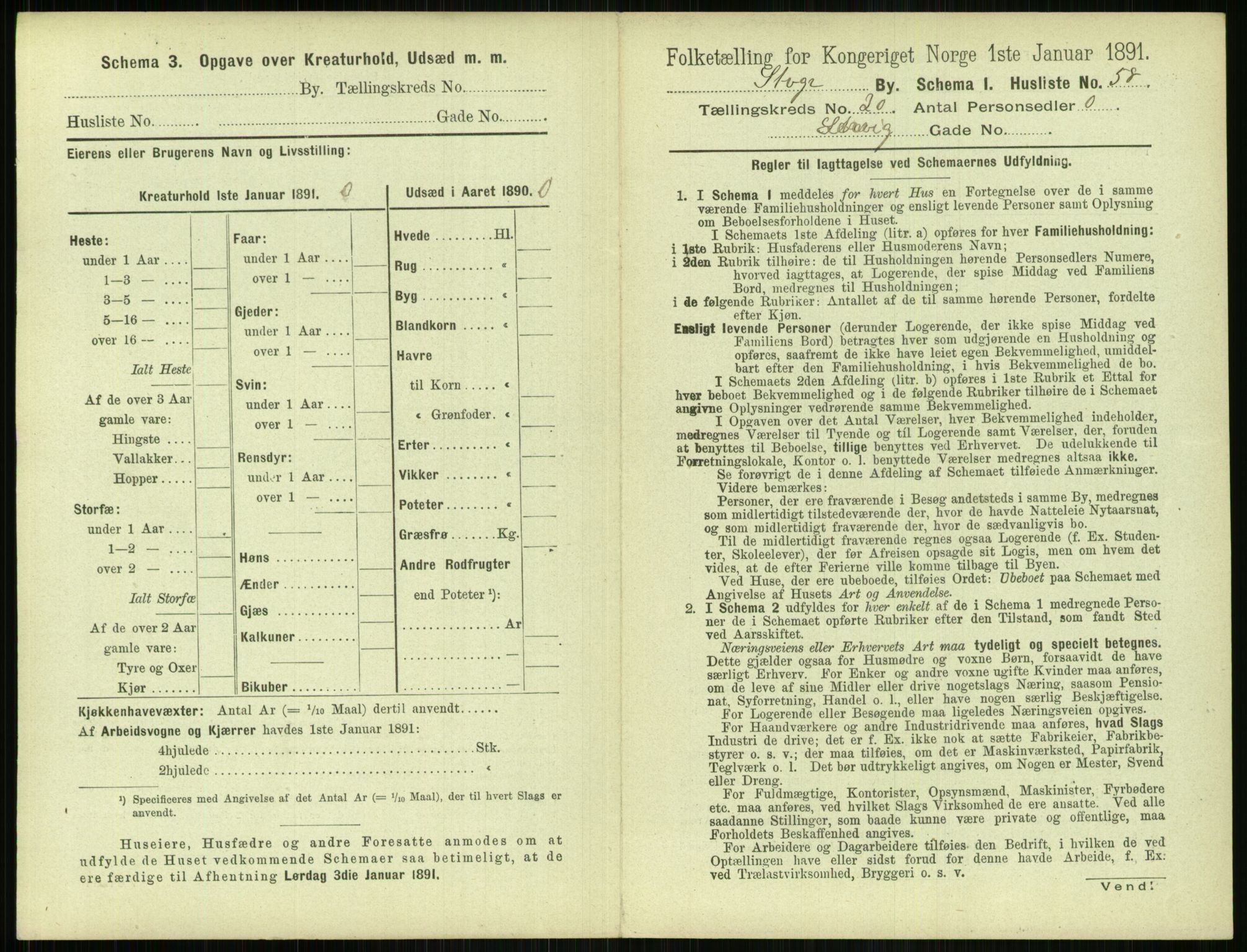 RA, 1891 census for 1103 Stavanger, 1891, p. 3905