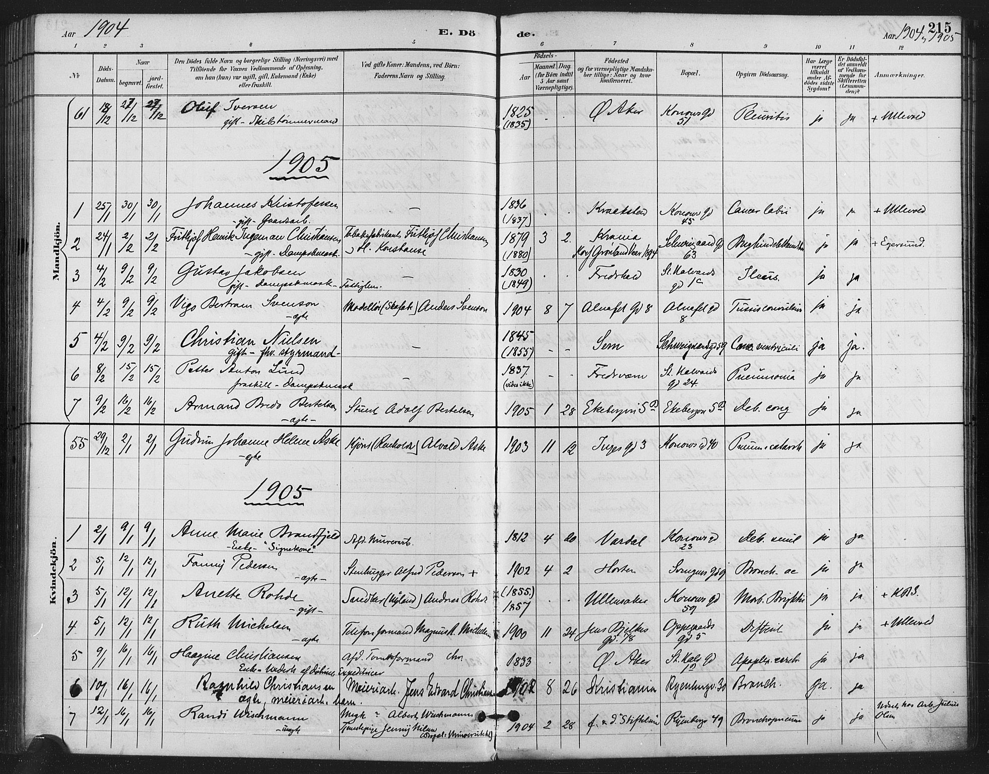 Gamlebyen prestekontor Kirkebøker, SAO/A-10884/F/Fa/L0009: Parish register (official) no. 9, 1888-1909, p. 215