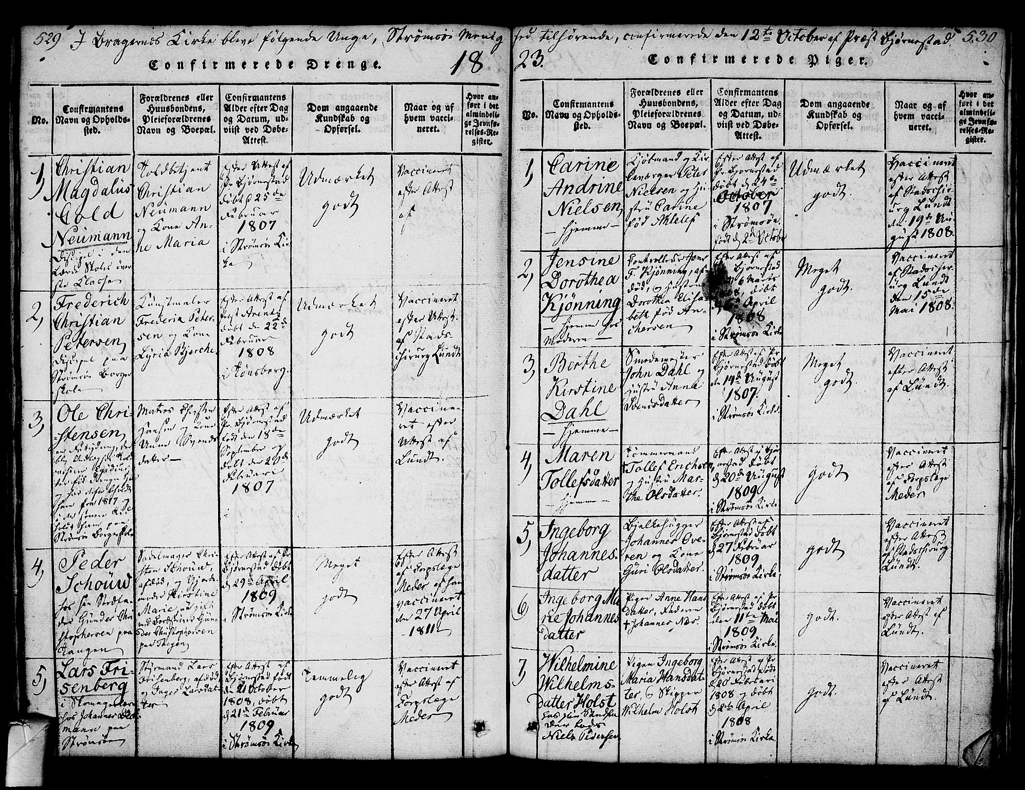 Strømsø kirkebøker, AV/SAKO-A-246/F/Fa/L0011: Parish register (official) no. I 11, 1815-1829, p. 529-530