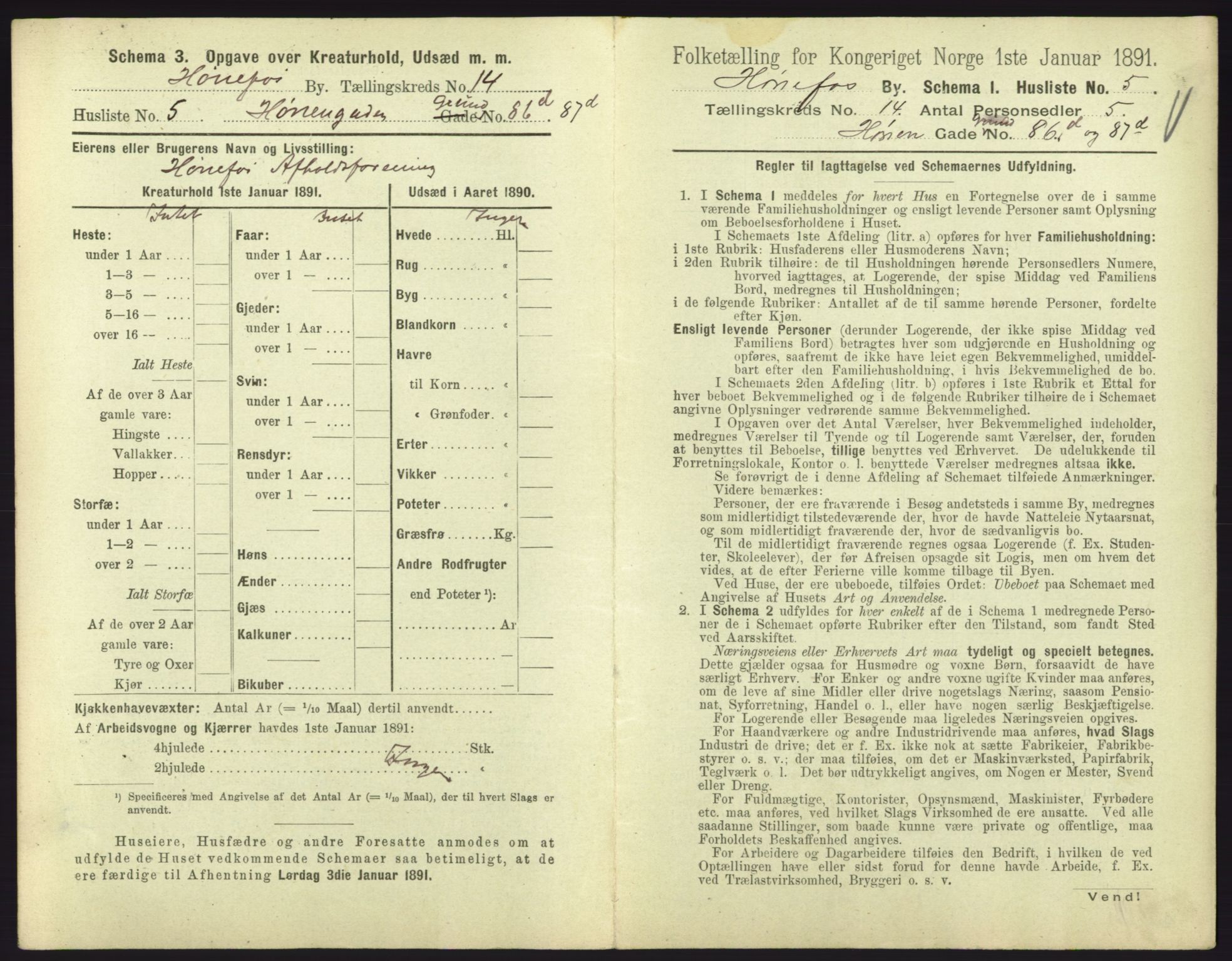 RA, 1891 census for 0601 Hønefoss, 1891, p. 311