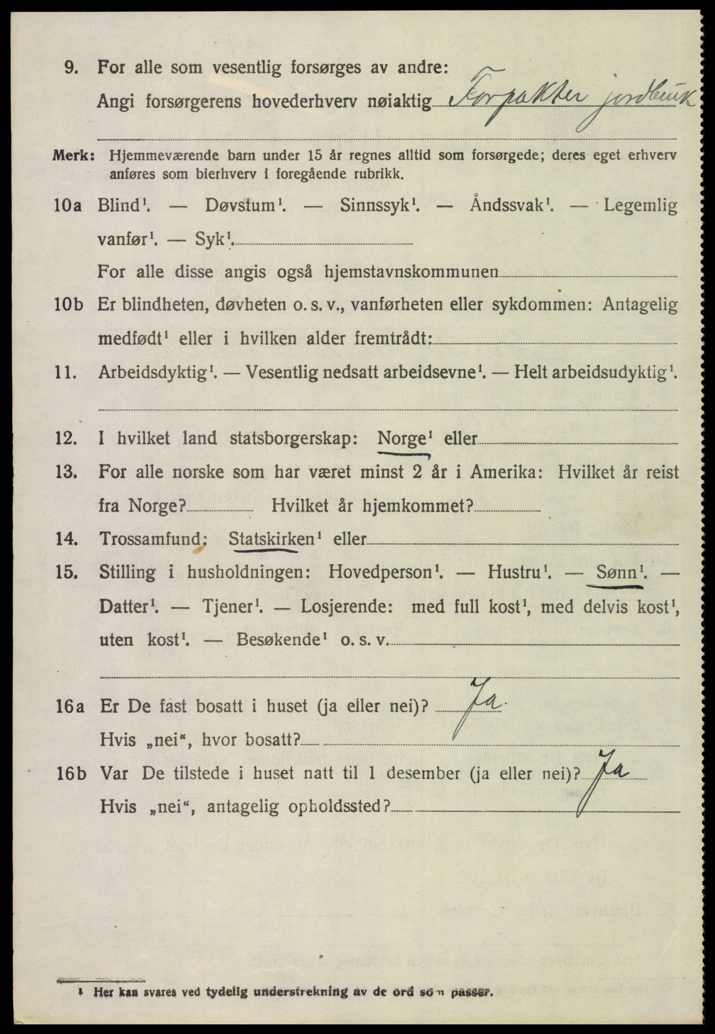 SAH, 1920 census for Vinger, 1920, p. 10029