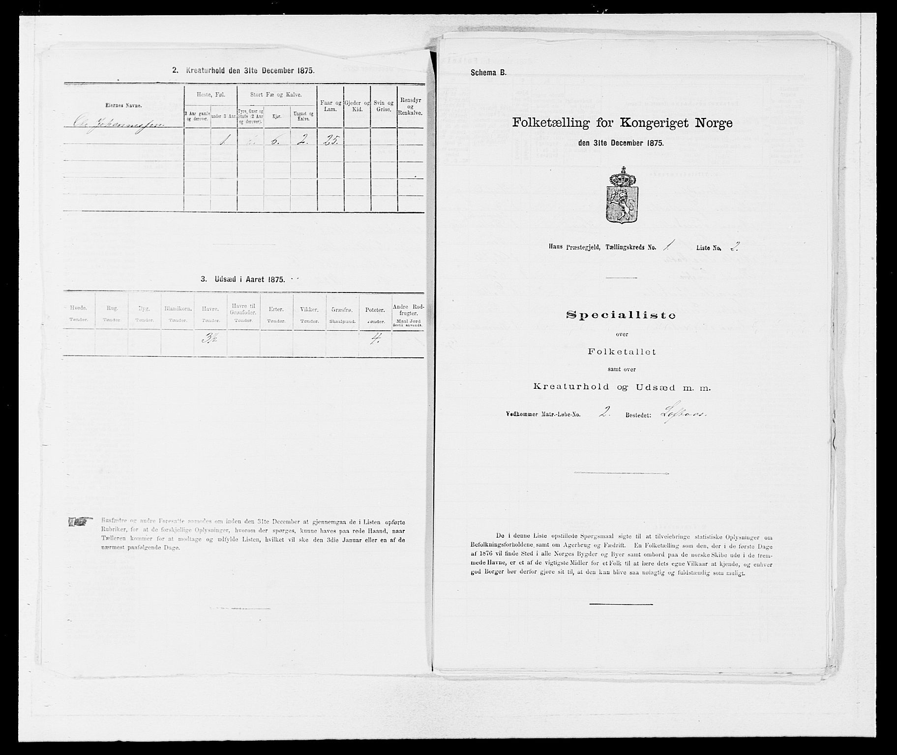 SAB, 1875 census for 1250P Haus, 1875, p. 30