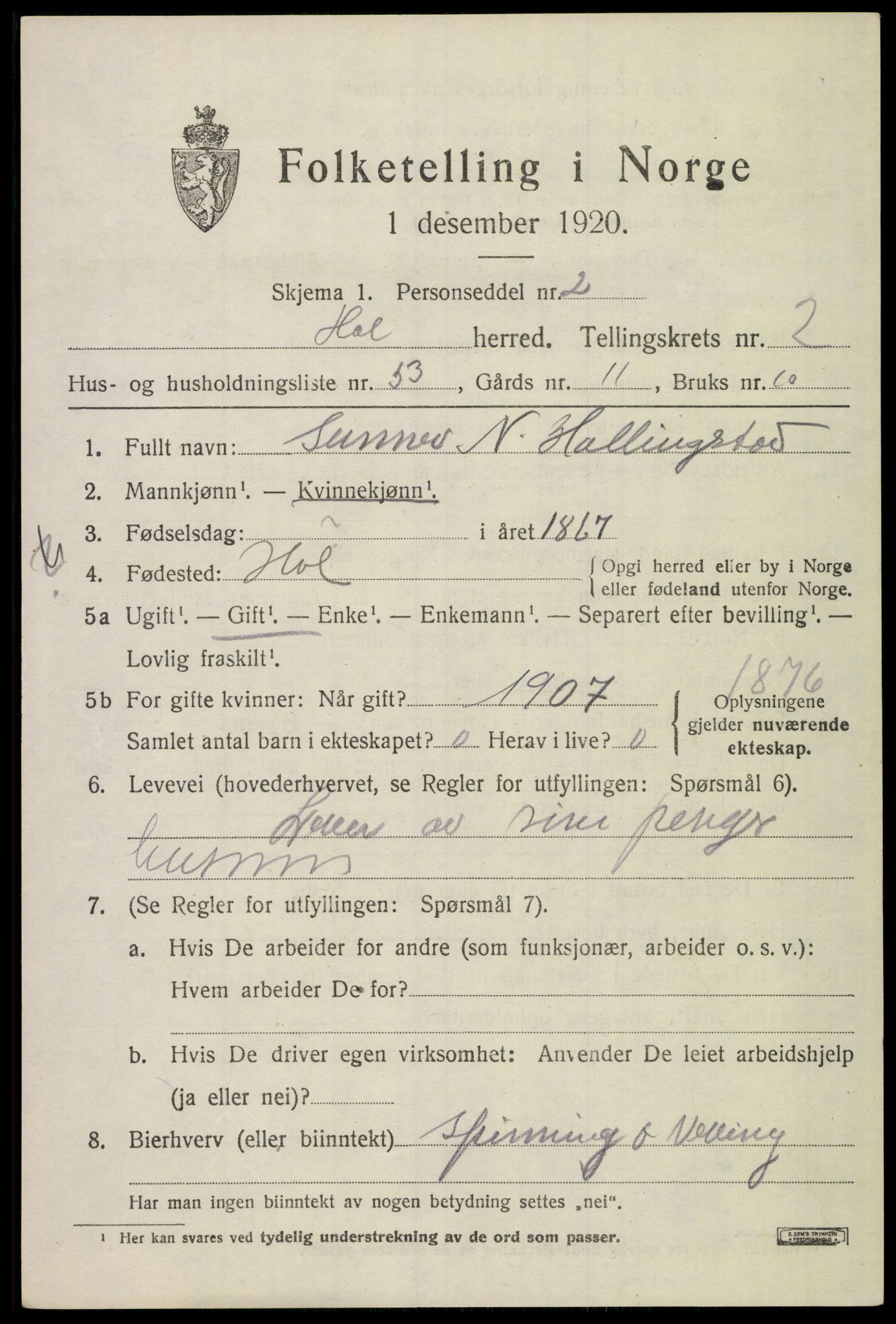 SAKO, 1920 census for Hol (Buskerud), 1920, p. 1855