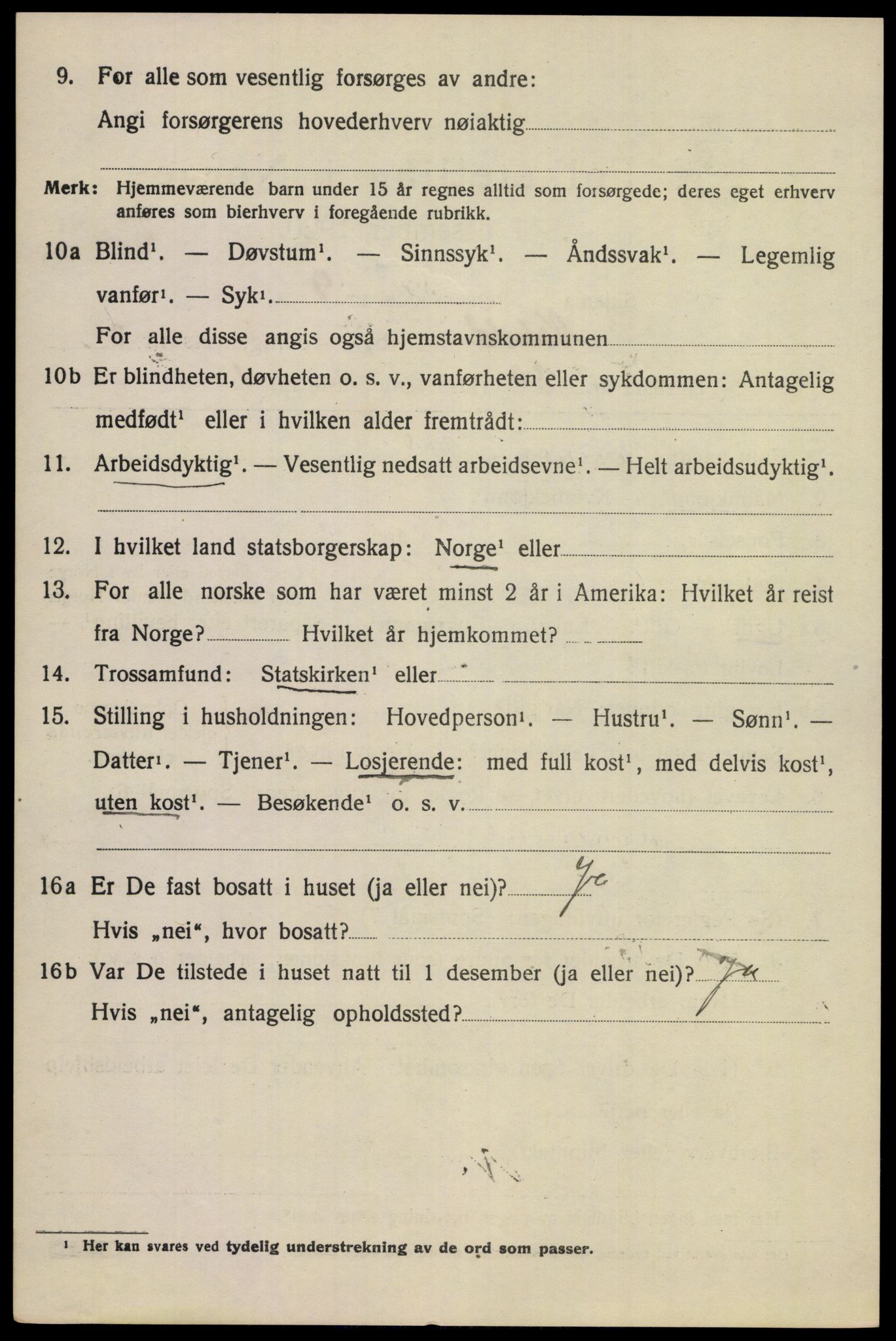 SAKO, 1920 census for Notodden, 1920, p. 8977