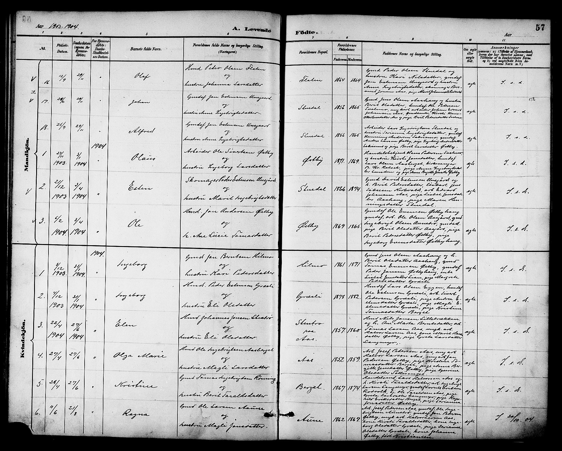 Ministerialprotokoller, klokkerbøker og fødselsregistre - Sør-Trøndelag, SAT/A-1456/698/L1167: Parish register (copy) no. 698C04, 1888-1907, p. 57
