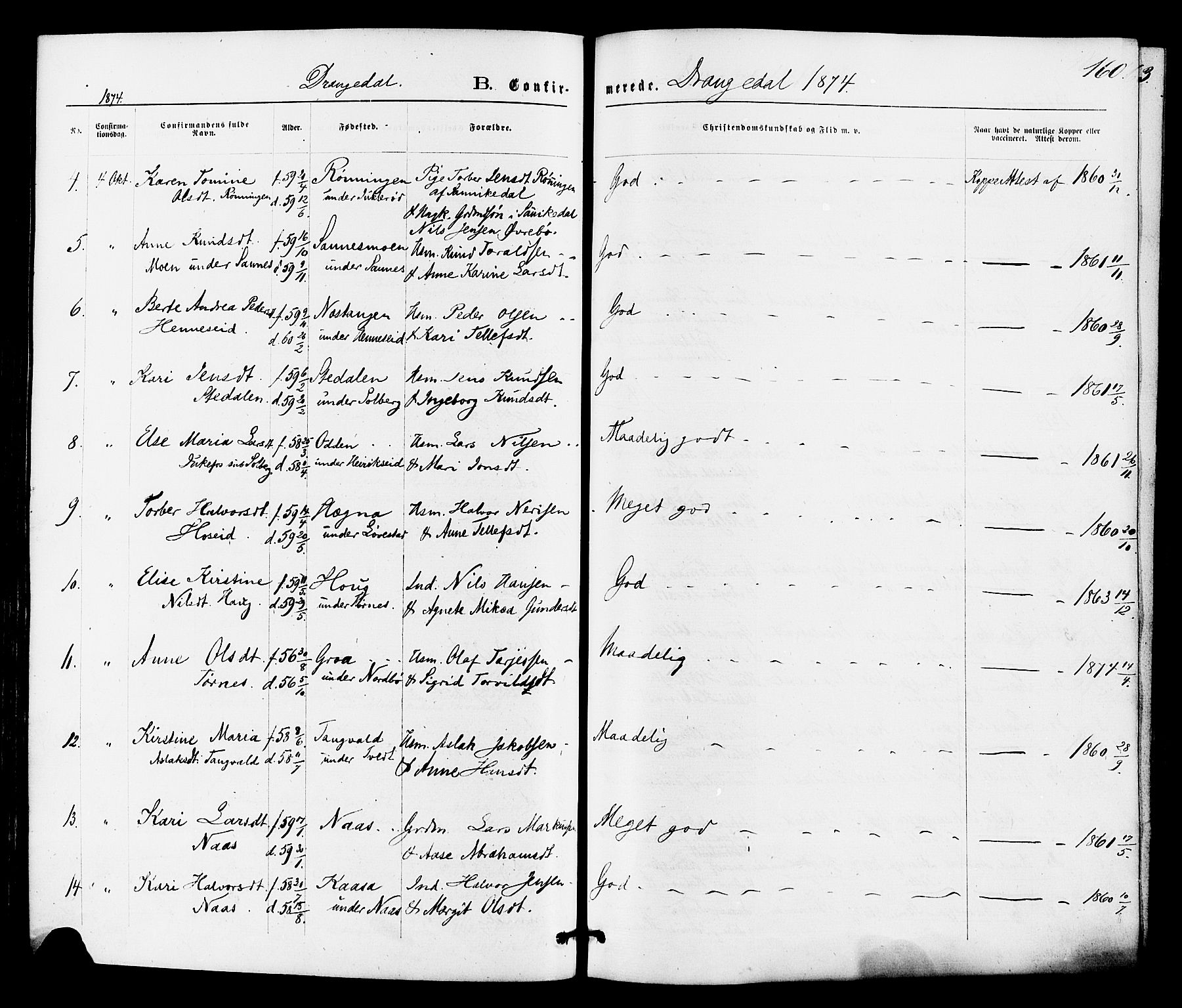 Drangedal kirkebøker, SAKO/A-258/F/Fa/L0009: Parish register (official) no. 9 /1, 1872-1884, p. 160