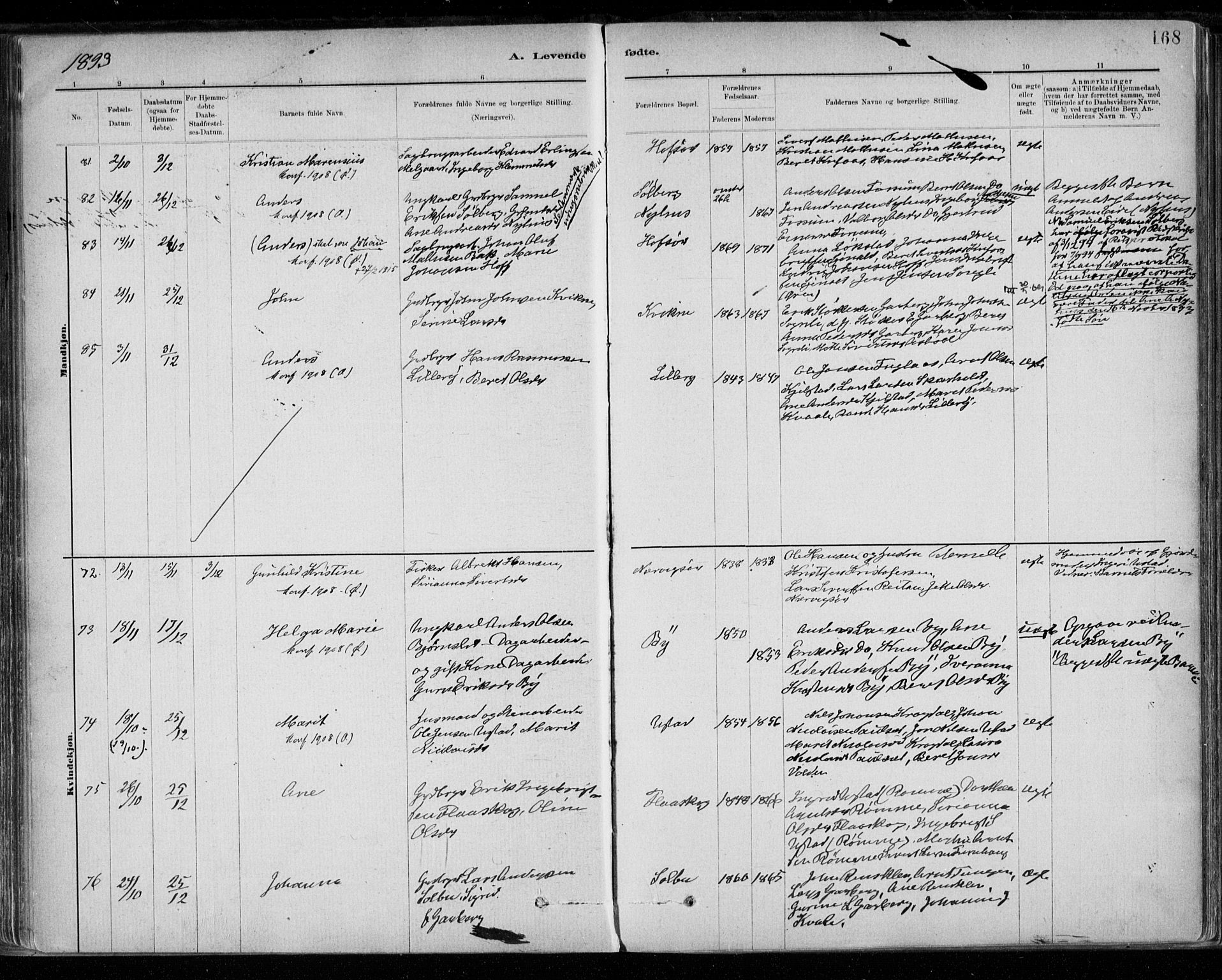 Ministerialprotokoller, klokkerbøker og fødselsregistre - Sør-Trøndelag, AV/SAT-A-1456/668/L0809: Parish register (official) no. 668A09, 1881-1895, p. 168