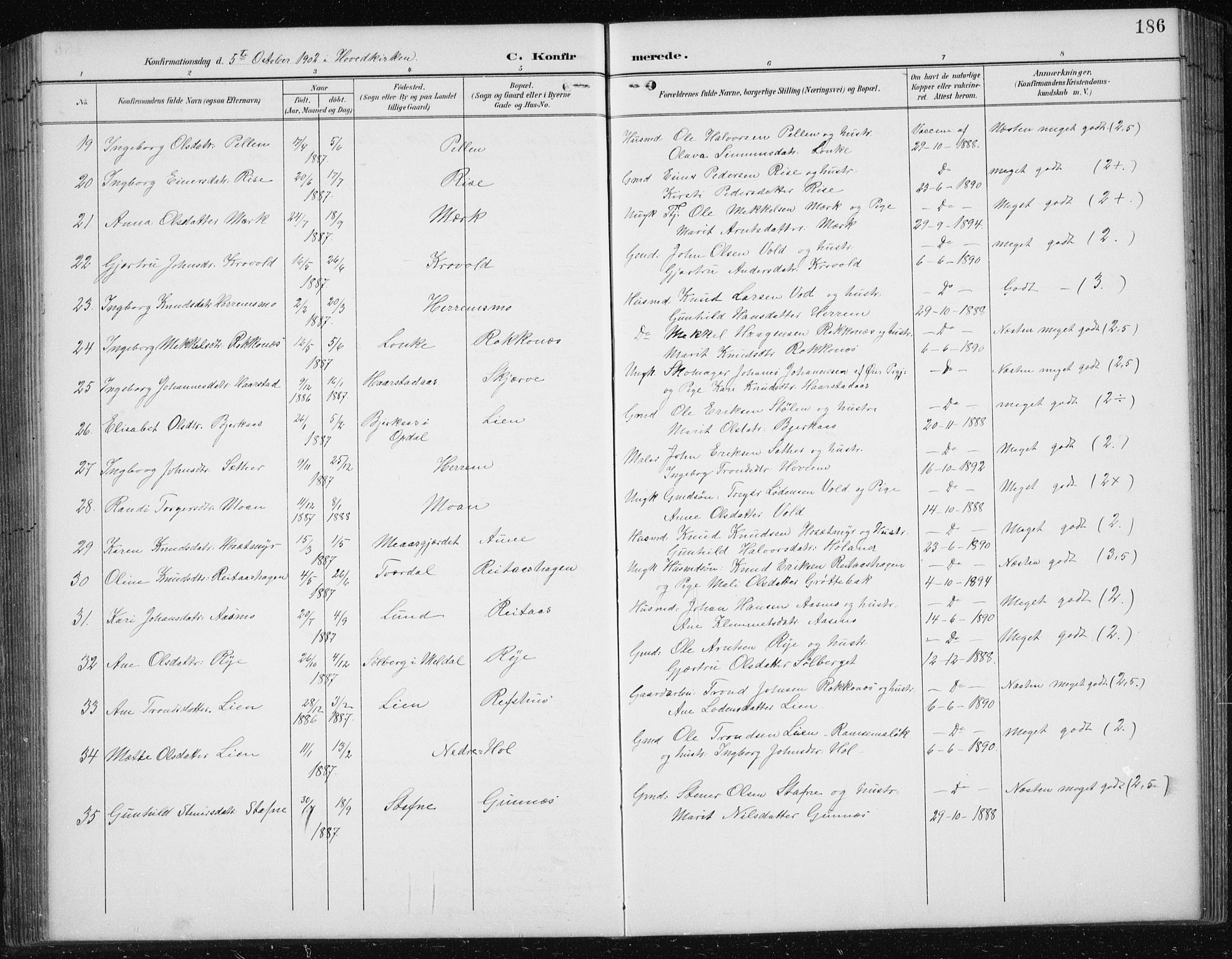 Ministerialprotokoller, klokkerbøker og fødselsregistre - Sør-Trøndelag, SAT/A-1456/674/L0876: Parish register (copy) no. 674C03, 1892-1912, p. 186