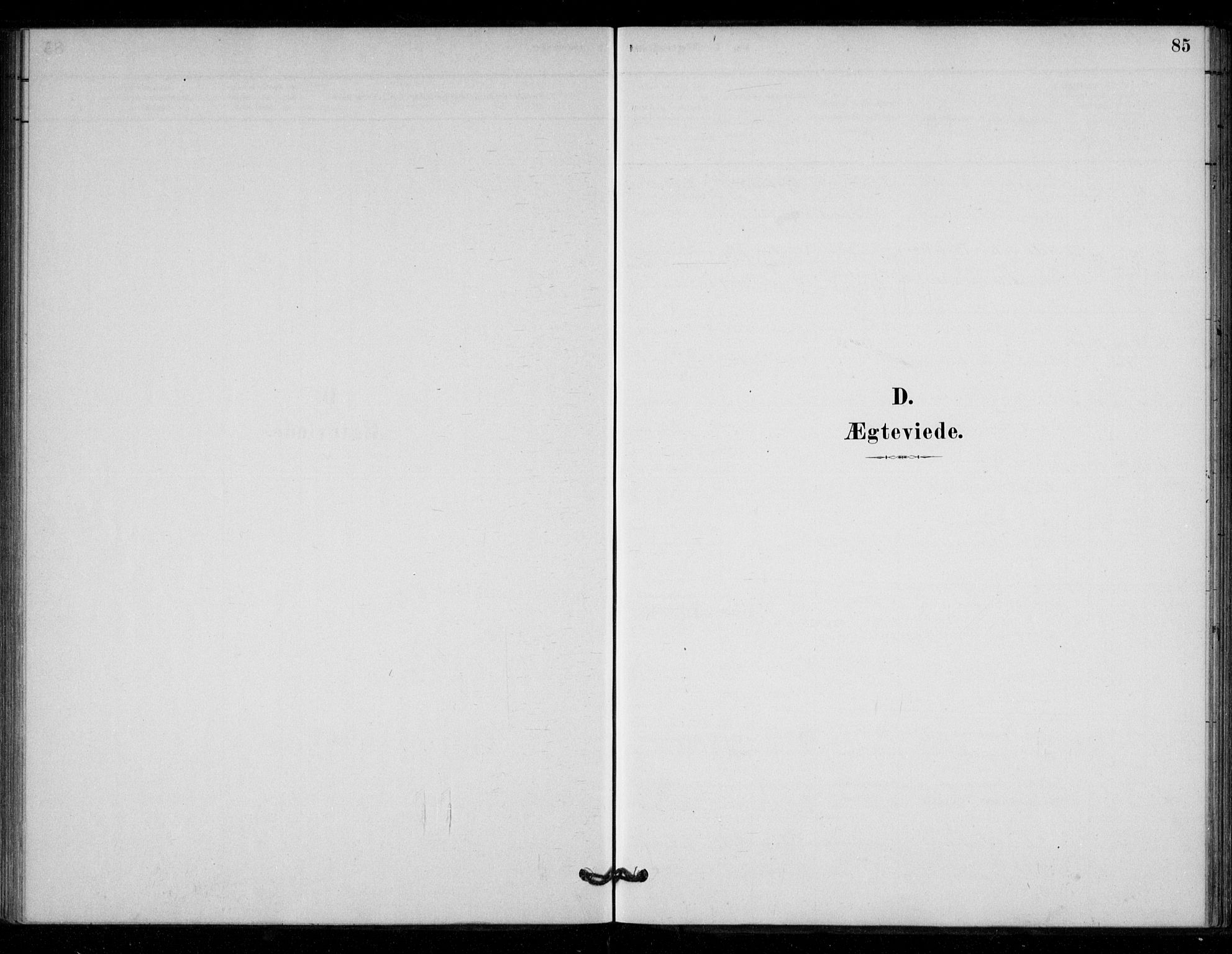 Ministerialprotokoller, klokkerbøker og fødselsregistre - Sør-Trøndelag, SAT/A-1456/670/L0836: Parish register (official) no. 670A01, 1879-1904, p. 85