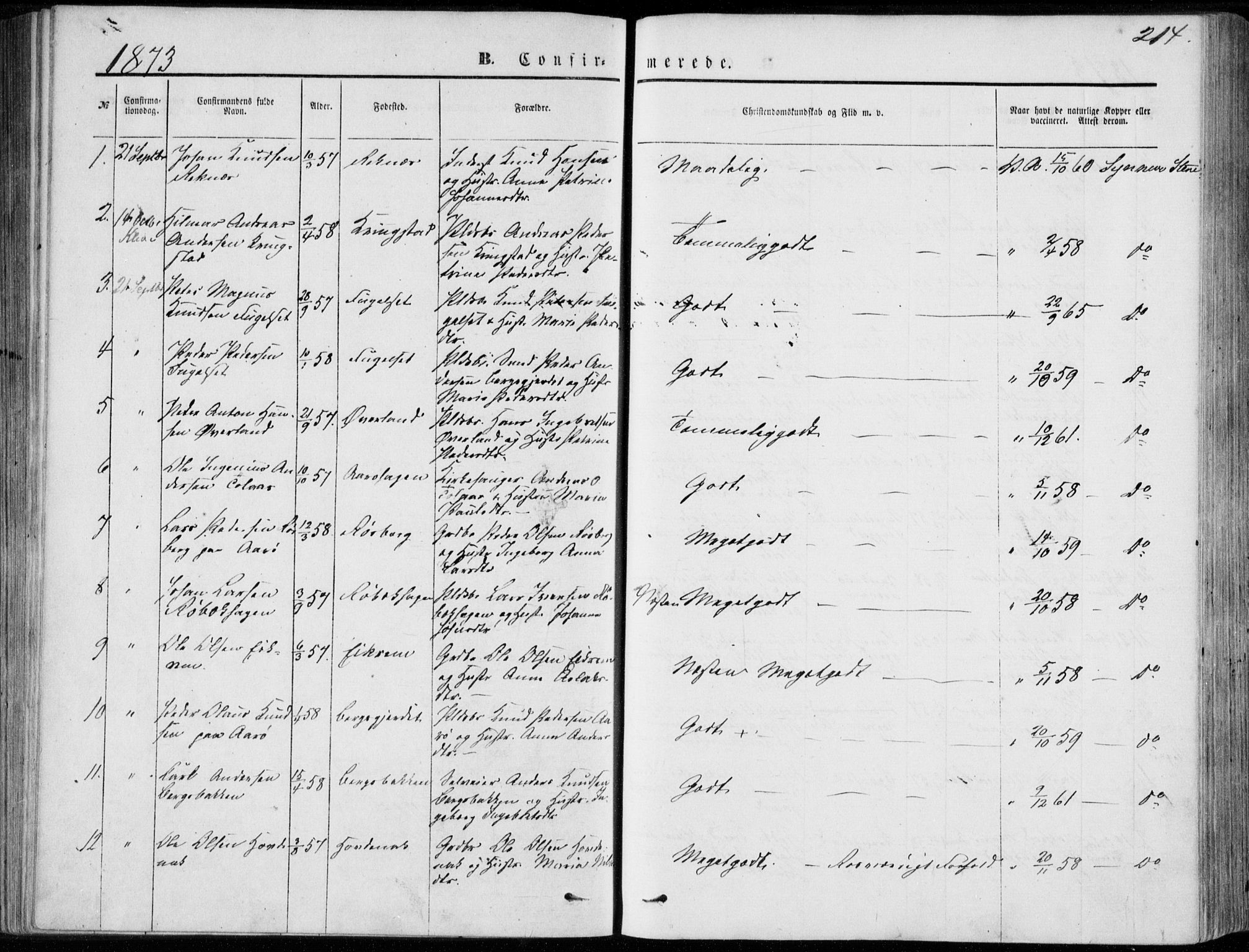 Ministerialprotokoller, klokkerbøker og fødselsregistre - Møre og Romsdal, SAT/A-1454/555/L0655: Parish register (official) no. 555A05, 1869-1886, p. 214