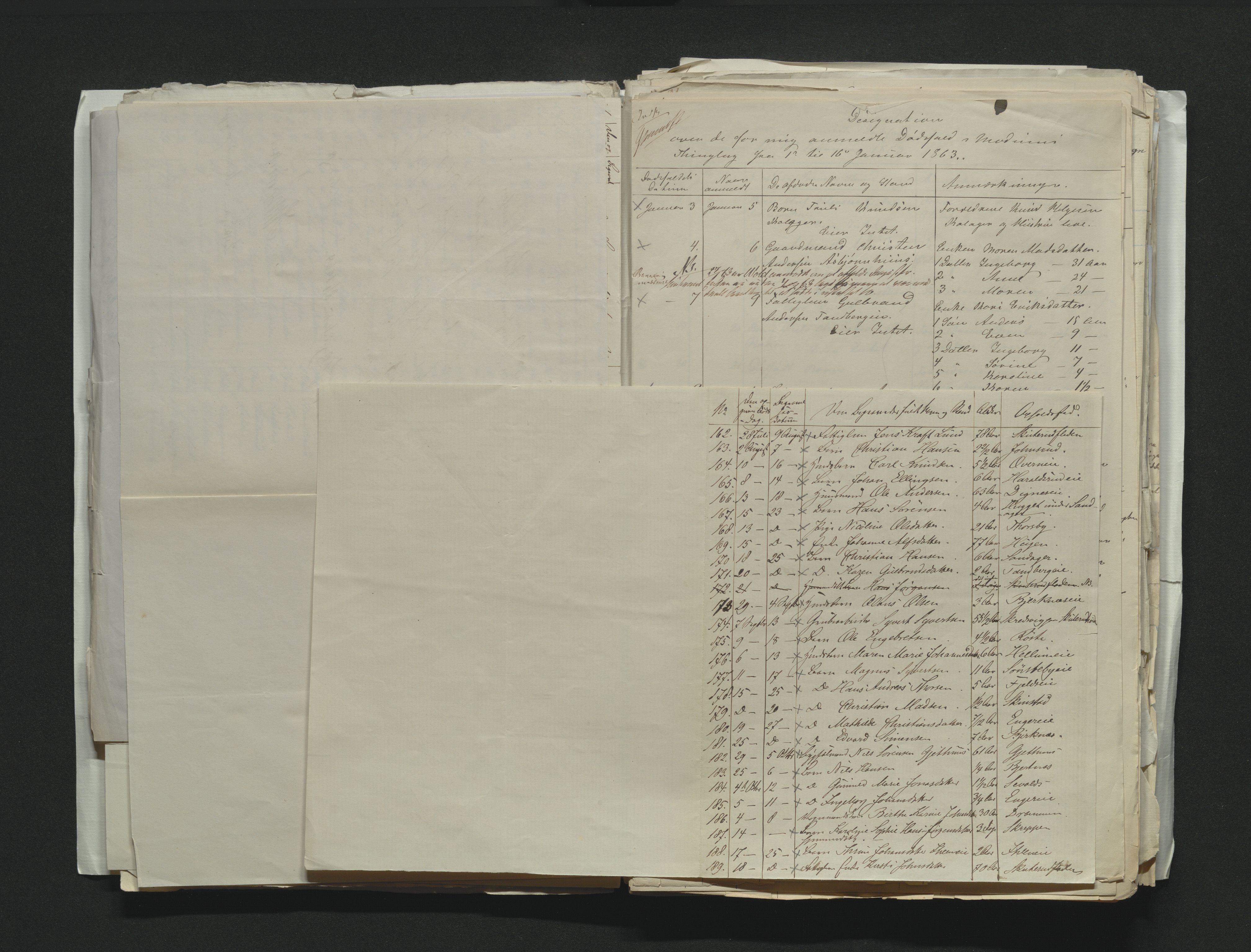 Eiker, Modum og Sigdal sorenskriveri, AV/SAKO-A-123/H/Ha/Hab/L0011: Dødsfallsmeldinger, 1862-1865, p. 231