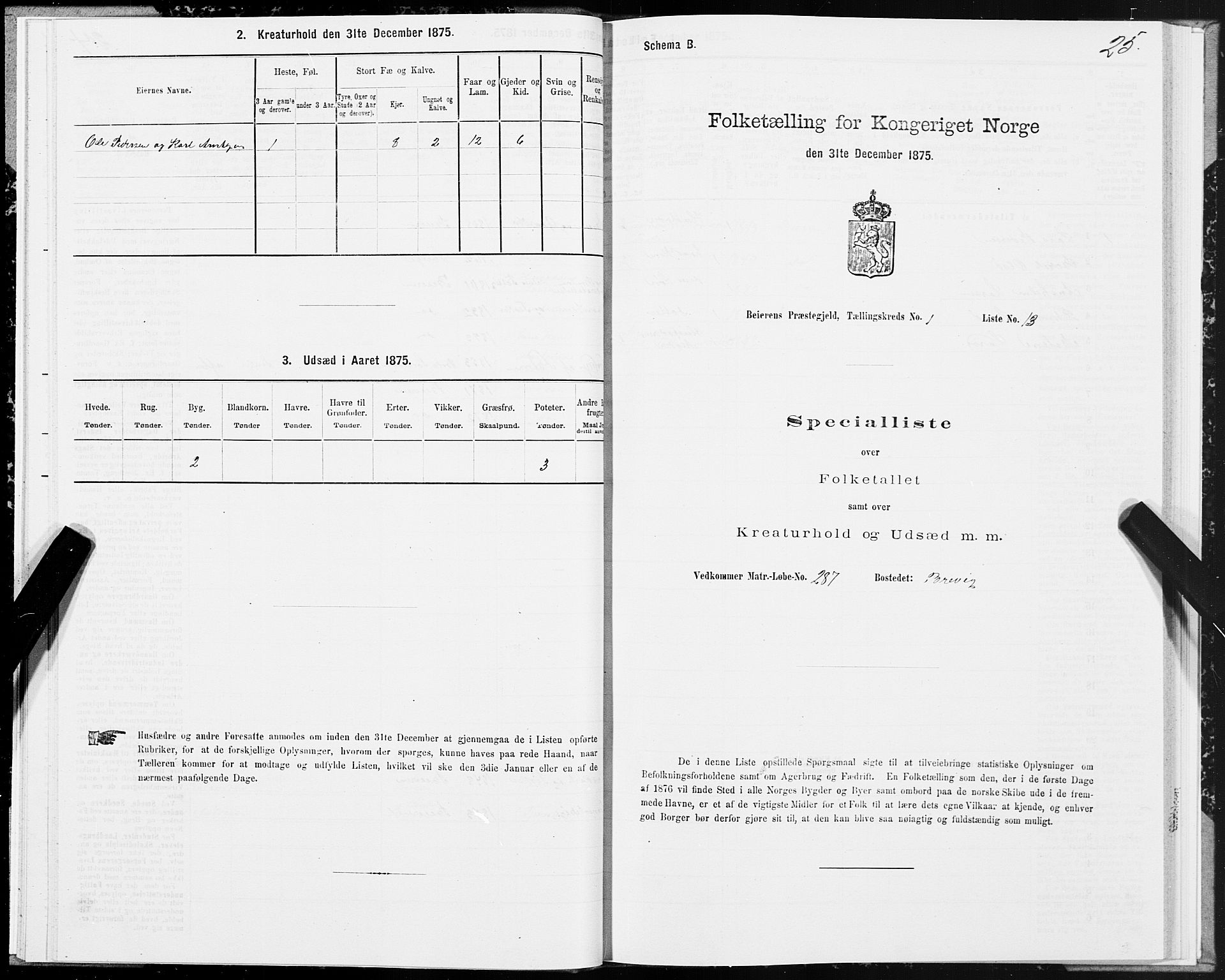 SAT, 1875 census for 1839P Beiarn, 1875, p. 1025