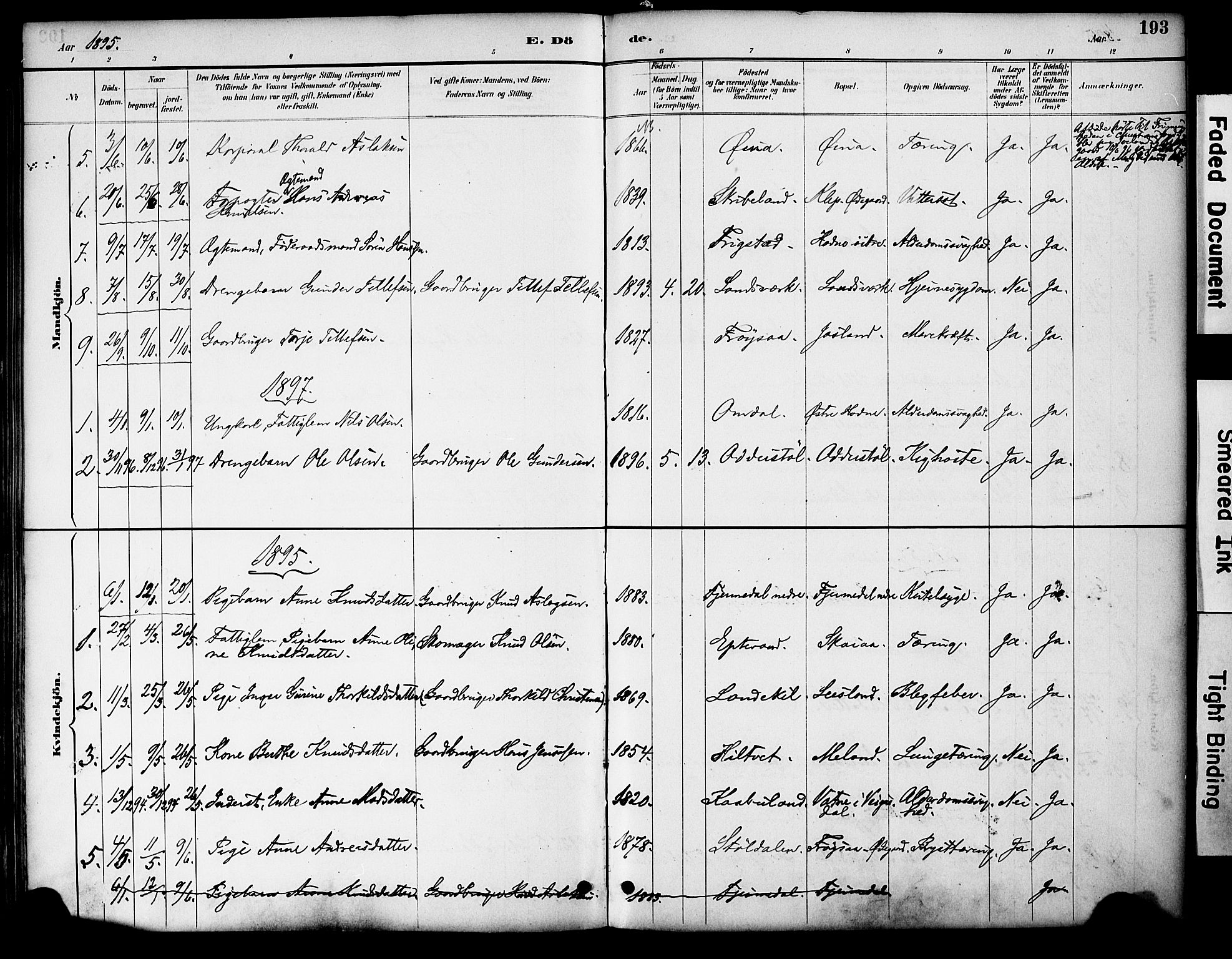 Evje sokneprestkontor, AV/SAK-1111-0008/F/Fa/Fac/L0003: Parish register (official) no. A 3, 1884-1909, p. 193