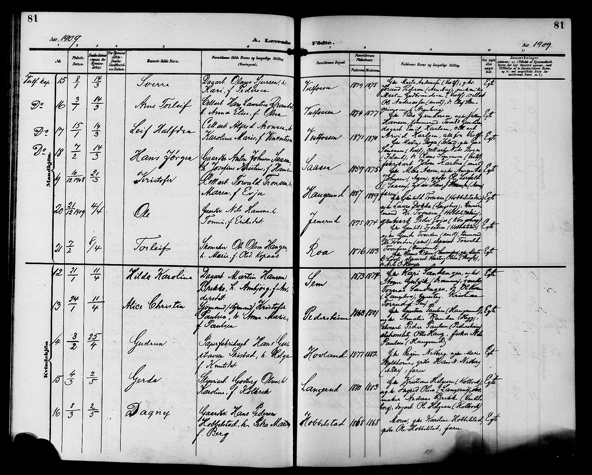 Eiker kirkebøker, AV/SAKO-A-4/G/Ga/L0008: Parish register (copy) no. I 8, 1903-1914, p. 81