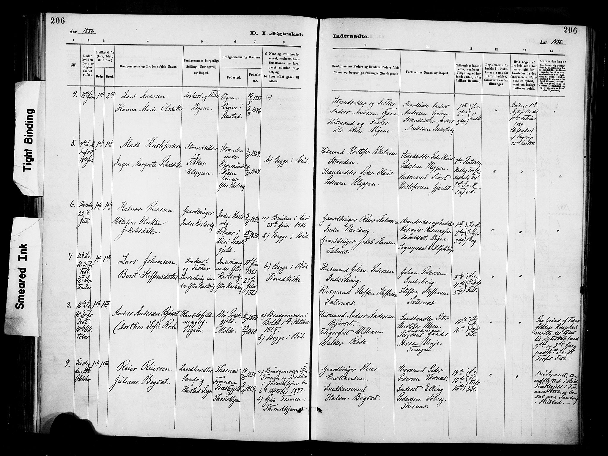 Ministerialprotokoller, klokkerbøker og fødselsregistre - Møre og Romsdal, AV/SAT-A-1454/566/L0769: Parish register (official) no. 566A08, 1881-1903, p. 206