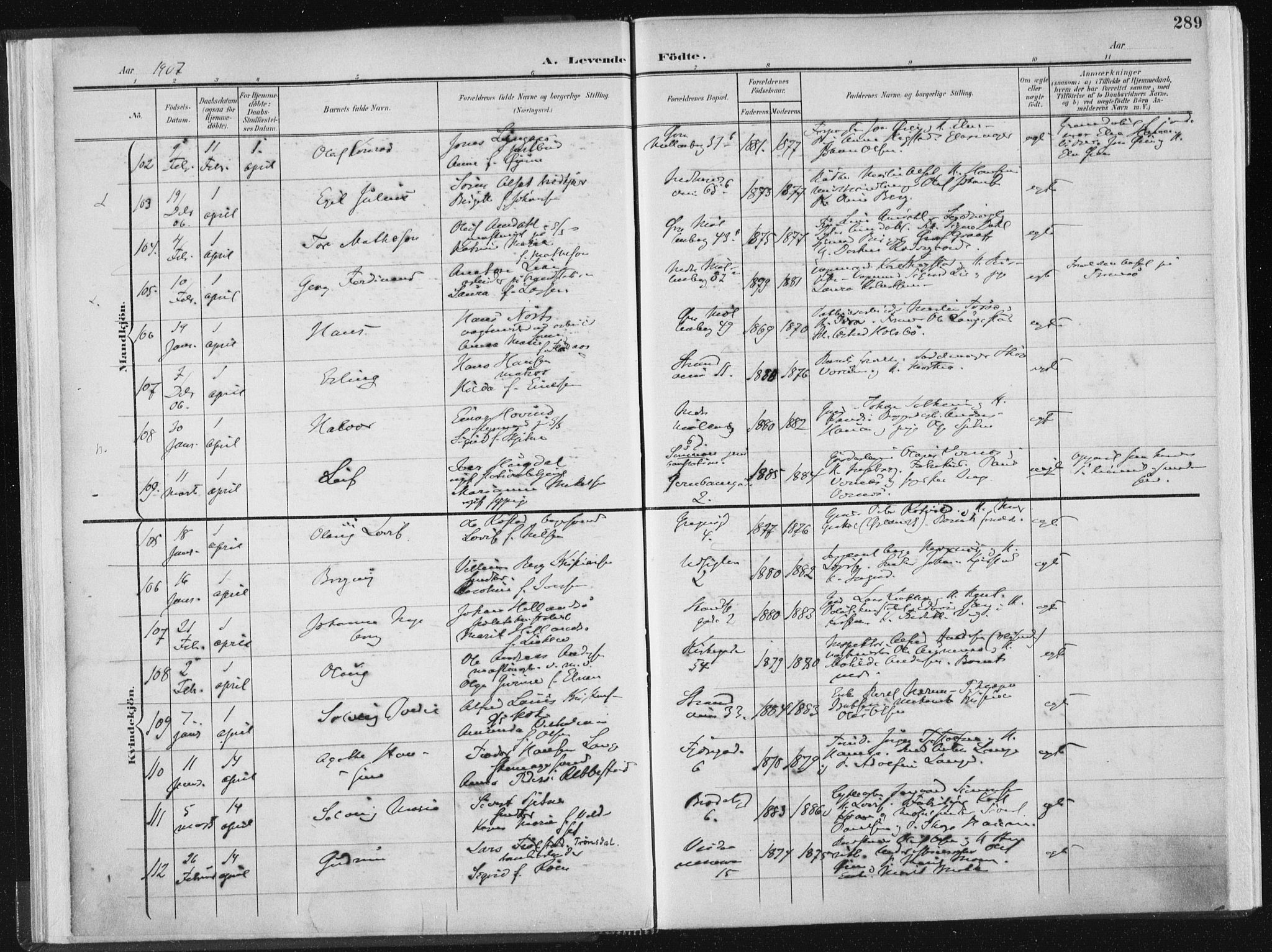 Ministerialprotokoller, klokkerbøker og fødselsregistre - Sør-Trøndelag, SAT/A-1456/604/L0200: Parish register (official) no. 604A20II, 1901-1908, p. 289