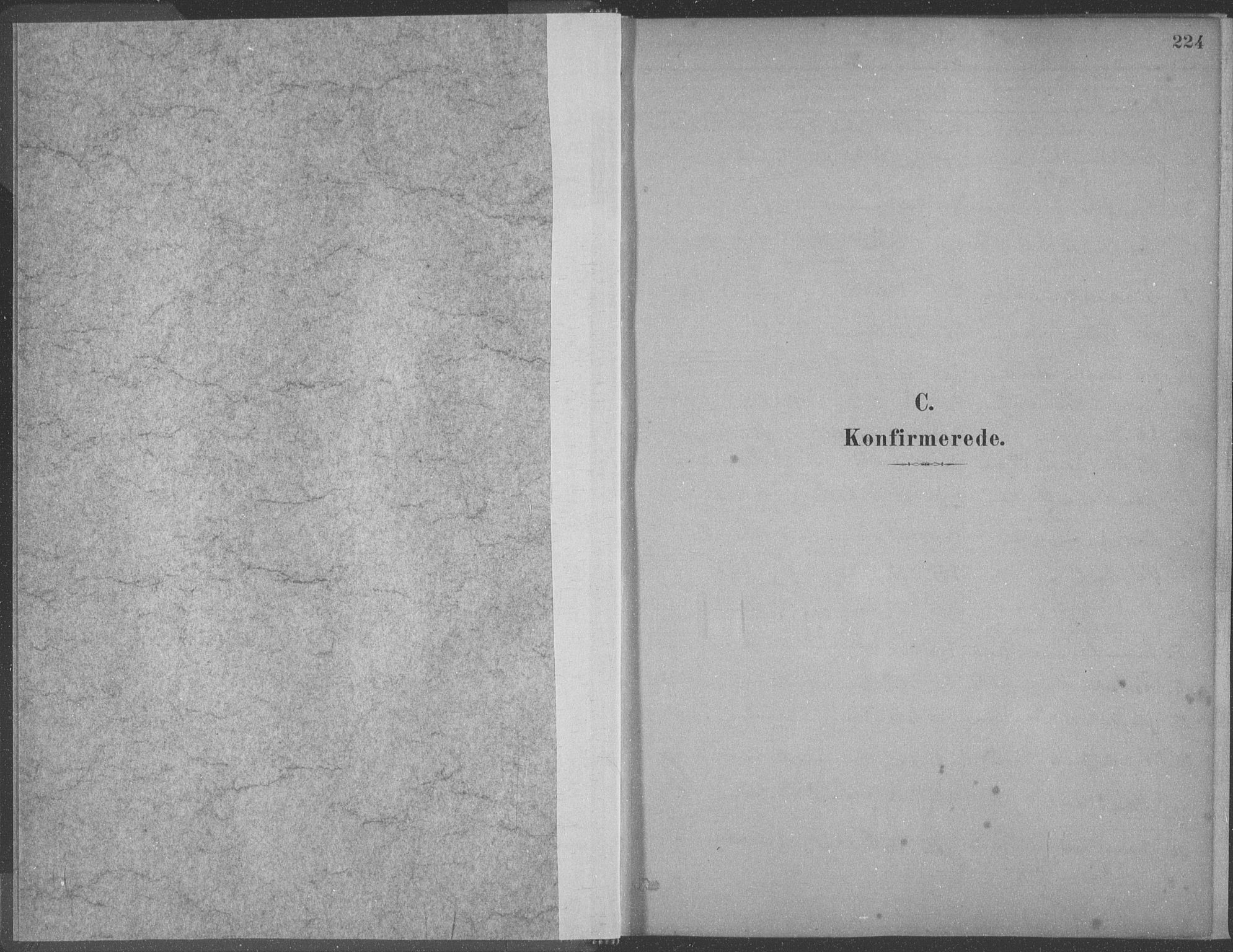 Ministerialprotokoller, klokkerbøker og fødselsregistre - Møre og Romsdal, SAT/A-1454/528/L0402: Parish register (official) no. 528A12II, 1880-1903, p. 224