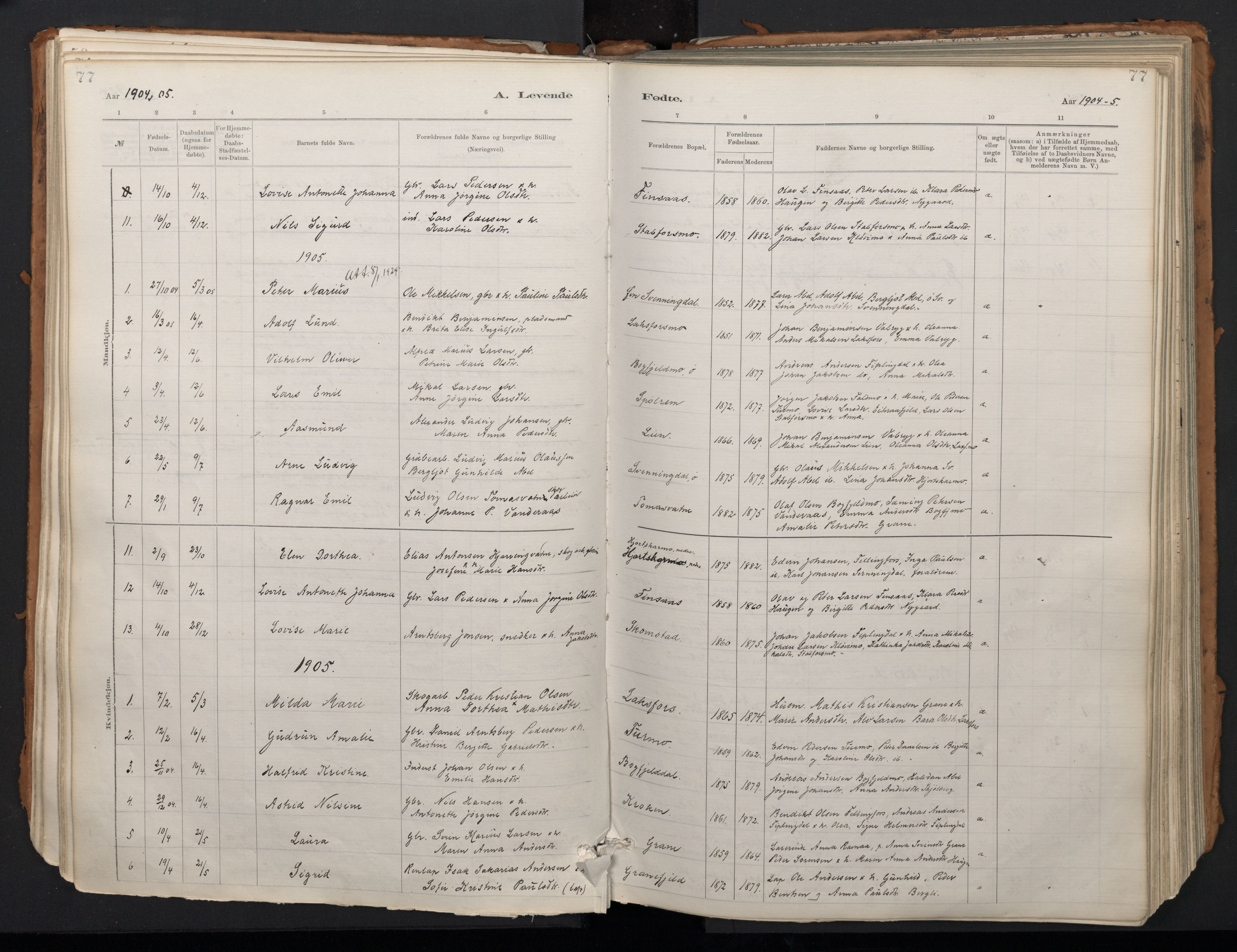 Ministerialprotokoller, klokkerbøker og fødselsregistre - Nordland, SAT/A-1459/824/L0338: Parish register (official) no. 824A01, 1880-1915, p. 77
