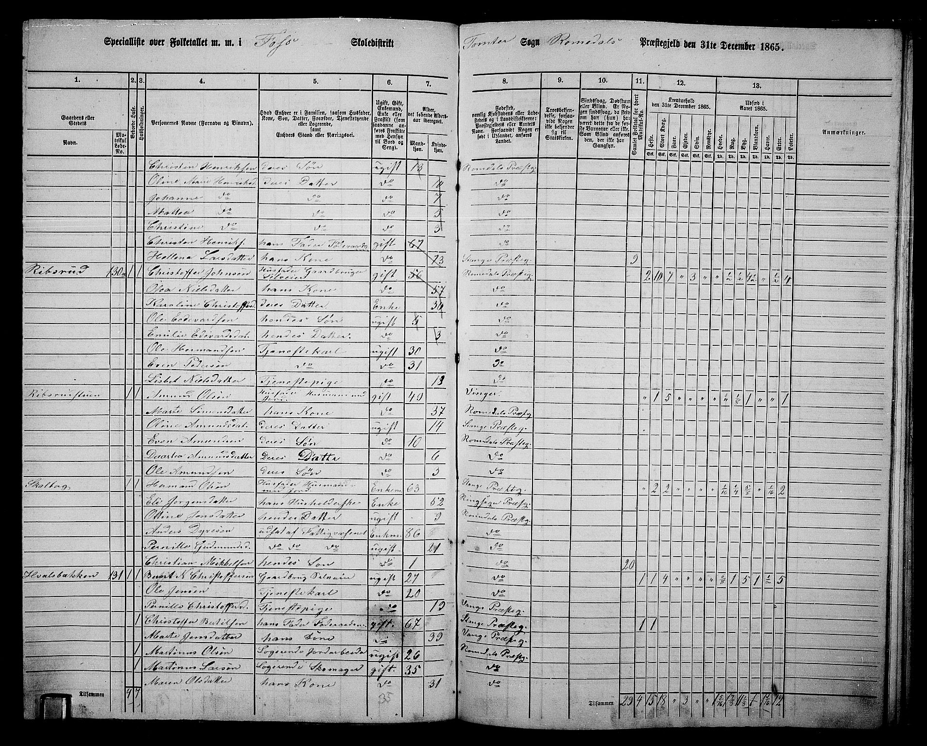 RA, 1865 census for Romedal, 1865, p. 180