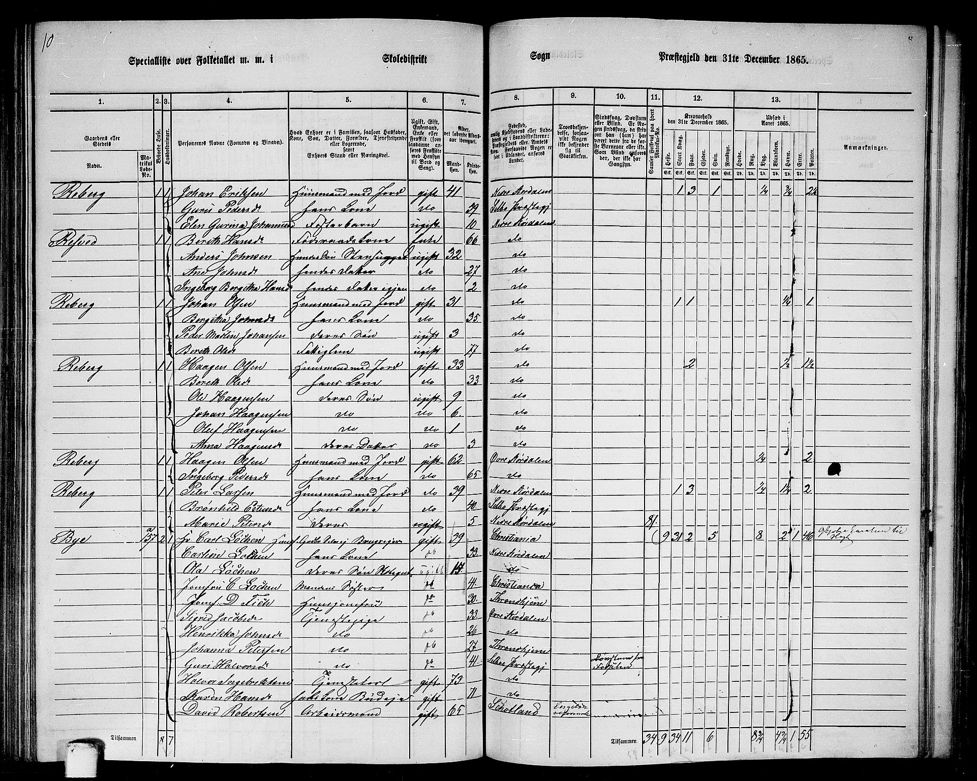 RA, 1865 census for Nedre Stjørdal, 1865, p. 198