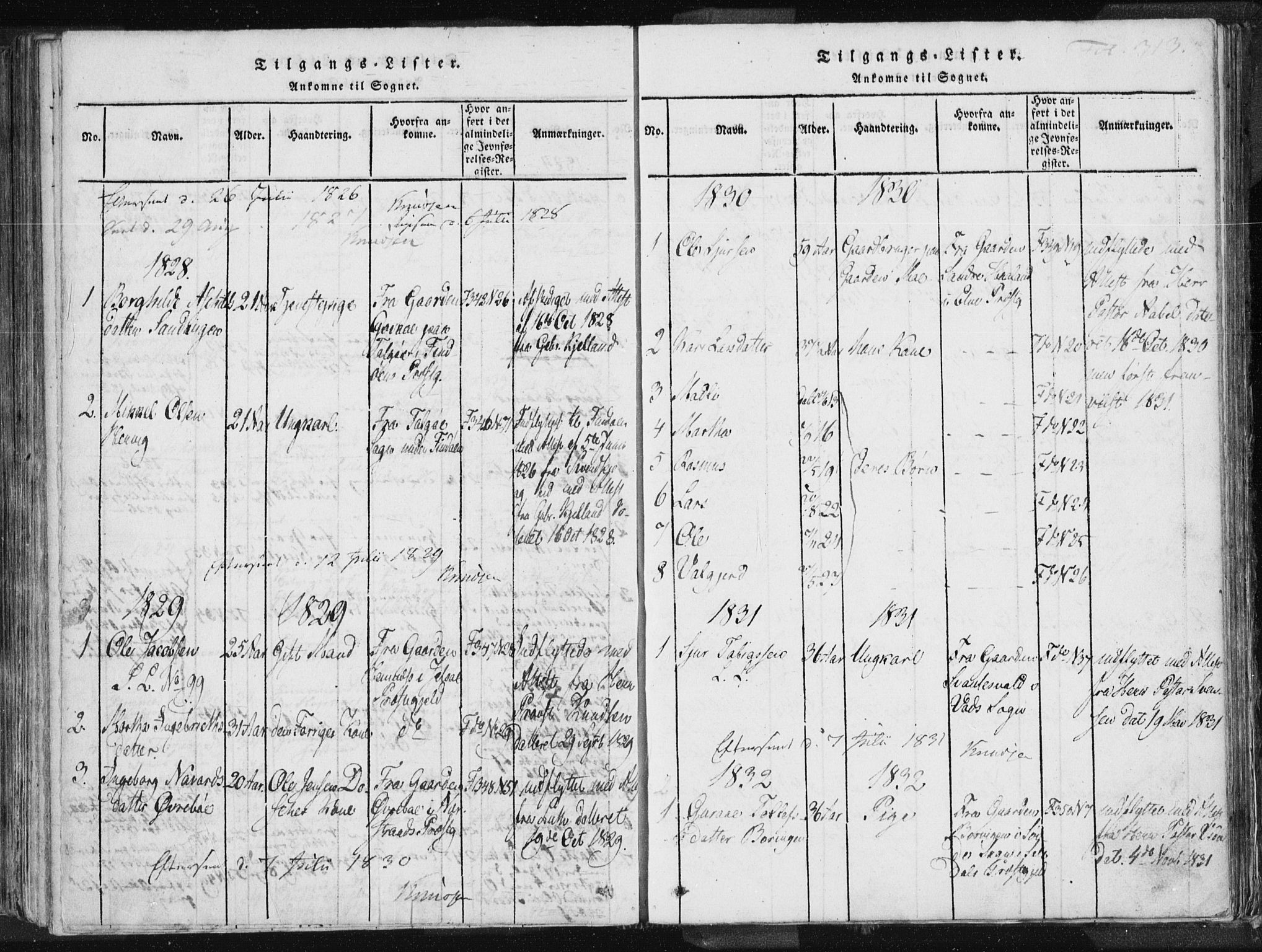 Vikedal sokneprestkontor, SAST/A-101840/01/IV: Parish register (official) no. A 3, 1817-1850, p. 313