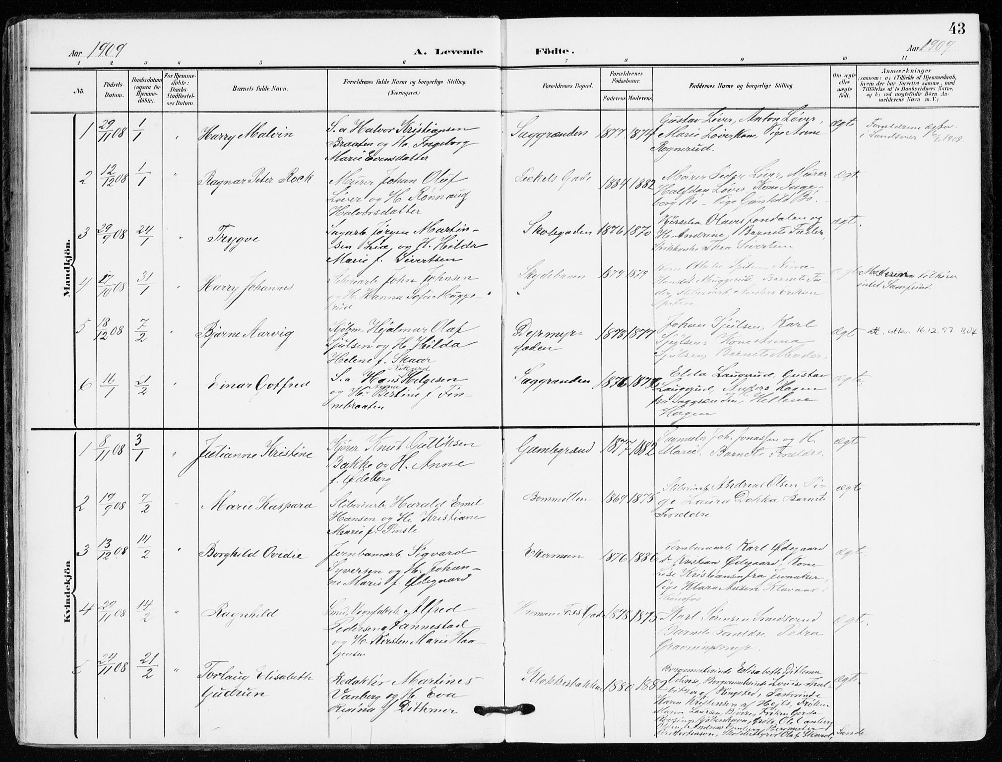 Kongsberg kirkebøker, SAKO/A-22/F/Fb/L0004: Parish register (official) no. II 4, 1906-1918, p. 43