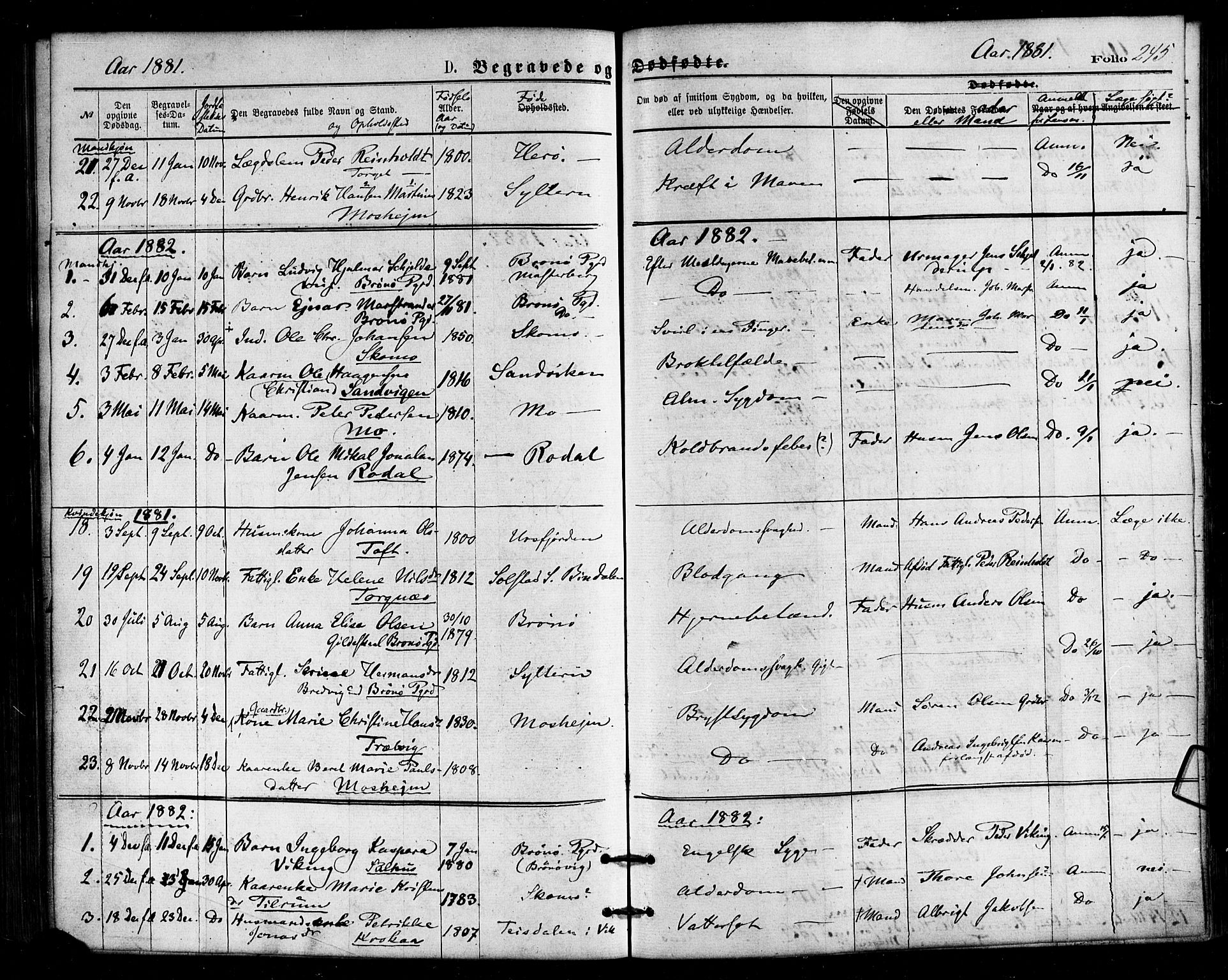 Ministerialprotokoller, klokkerbøker og fødselsregistre - Nordland, SAT/A-1459/813/L0199: Parish register (official) no. 813A09, 1875-1885, p. 245