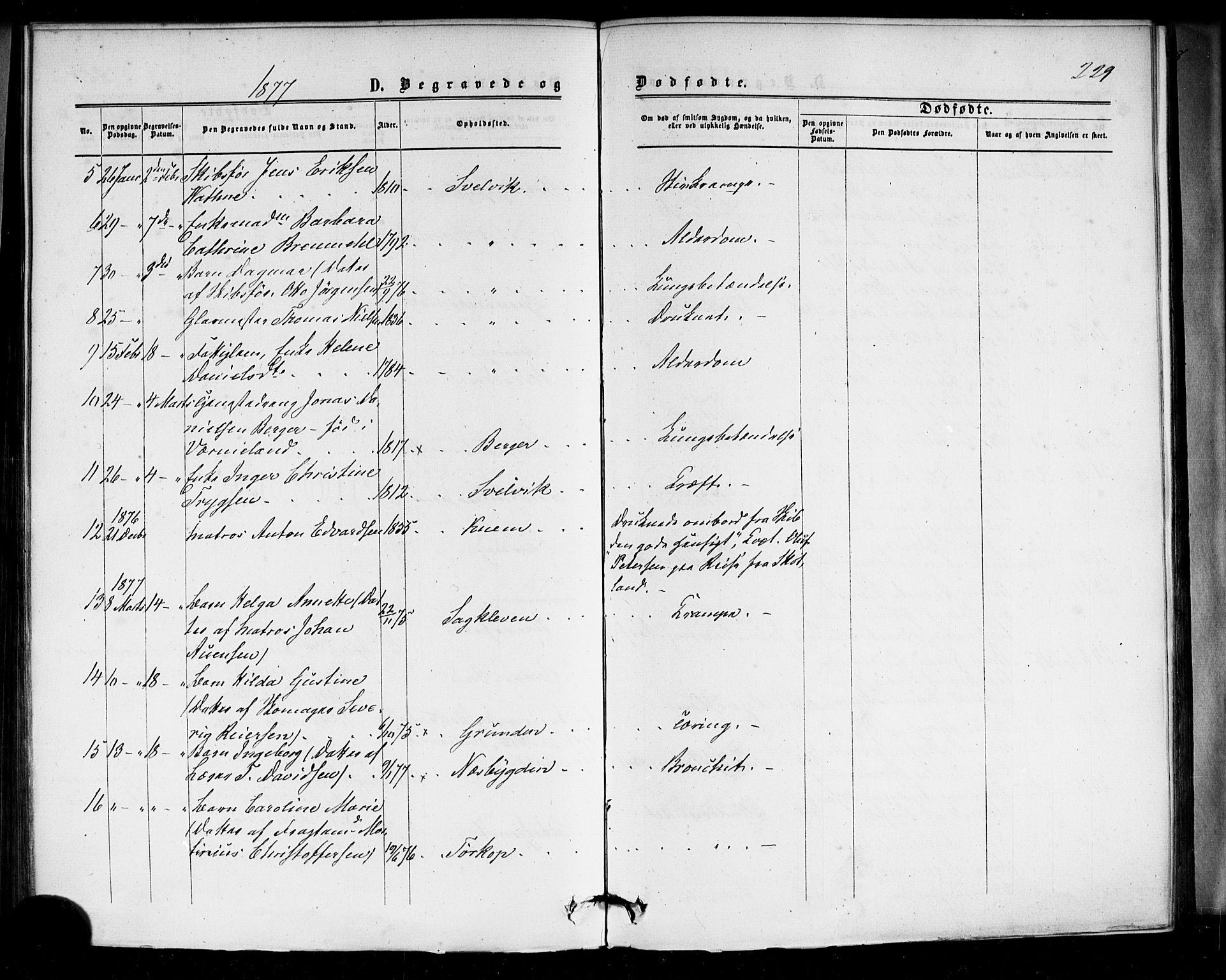 Strømm kirkebøker, AV/SAKO-A-322/F/Fa/L0002: Parish register (official) no. I 2, 1870-1877, p. 229