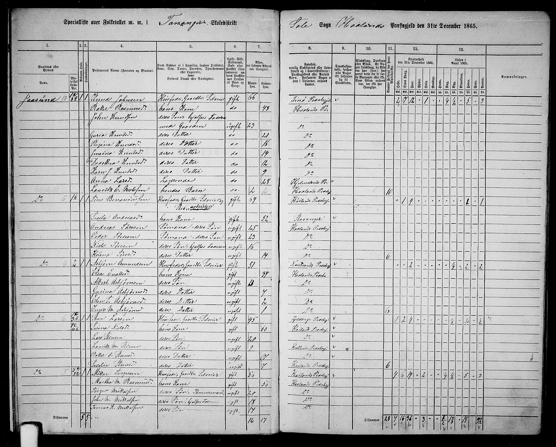RA, 1865 census for Håland, 1865, p. 12