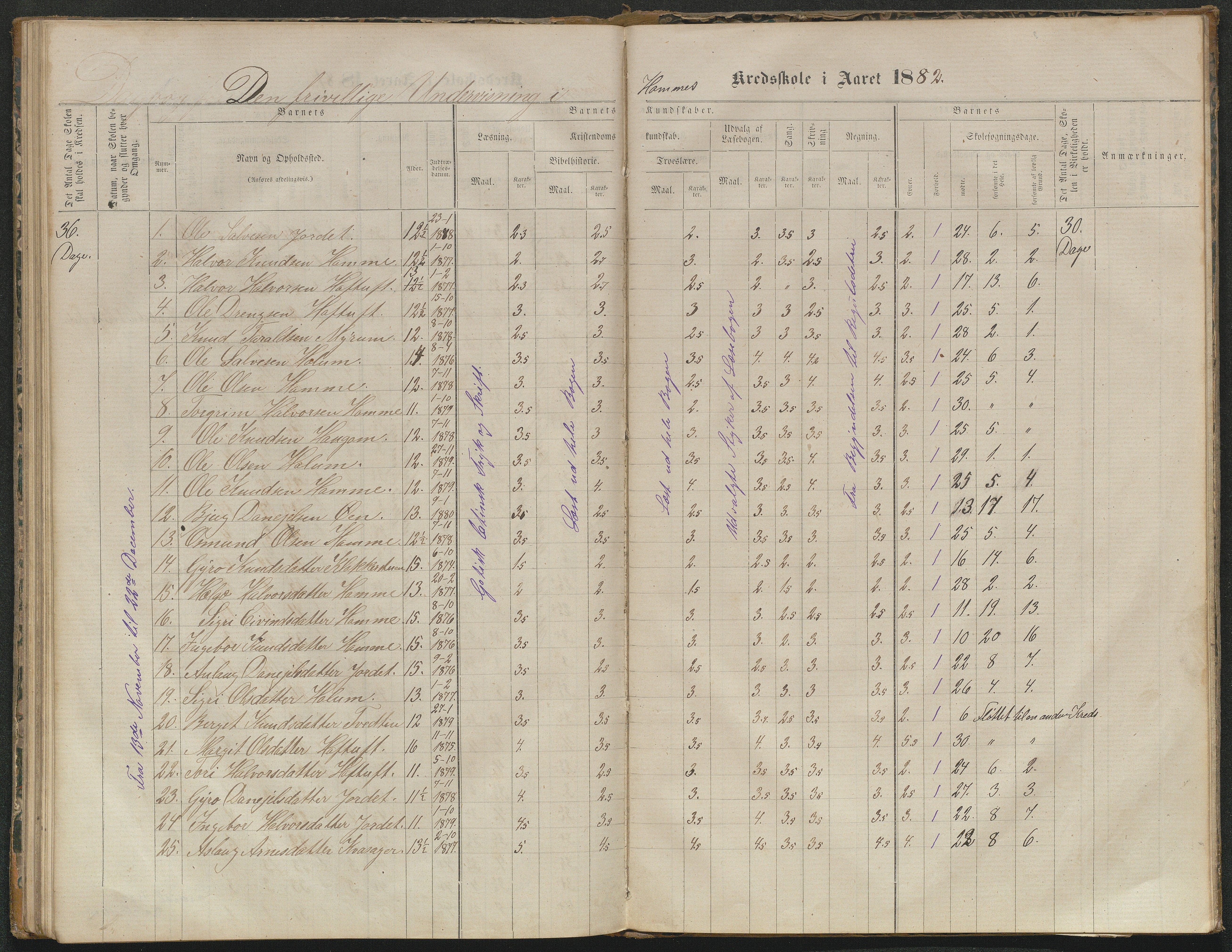 Valle kommune, AAKS/KA0940-PK/03/L0052: Karakterprotokoll for Homme skule. Karakterprotokoll for Oveinang skule. Karakterprotokoll for Tveitebø skule. Karakterprotokoll for den frivillige undervisning i Homme, 1863-1882