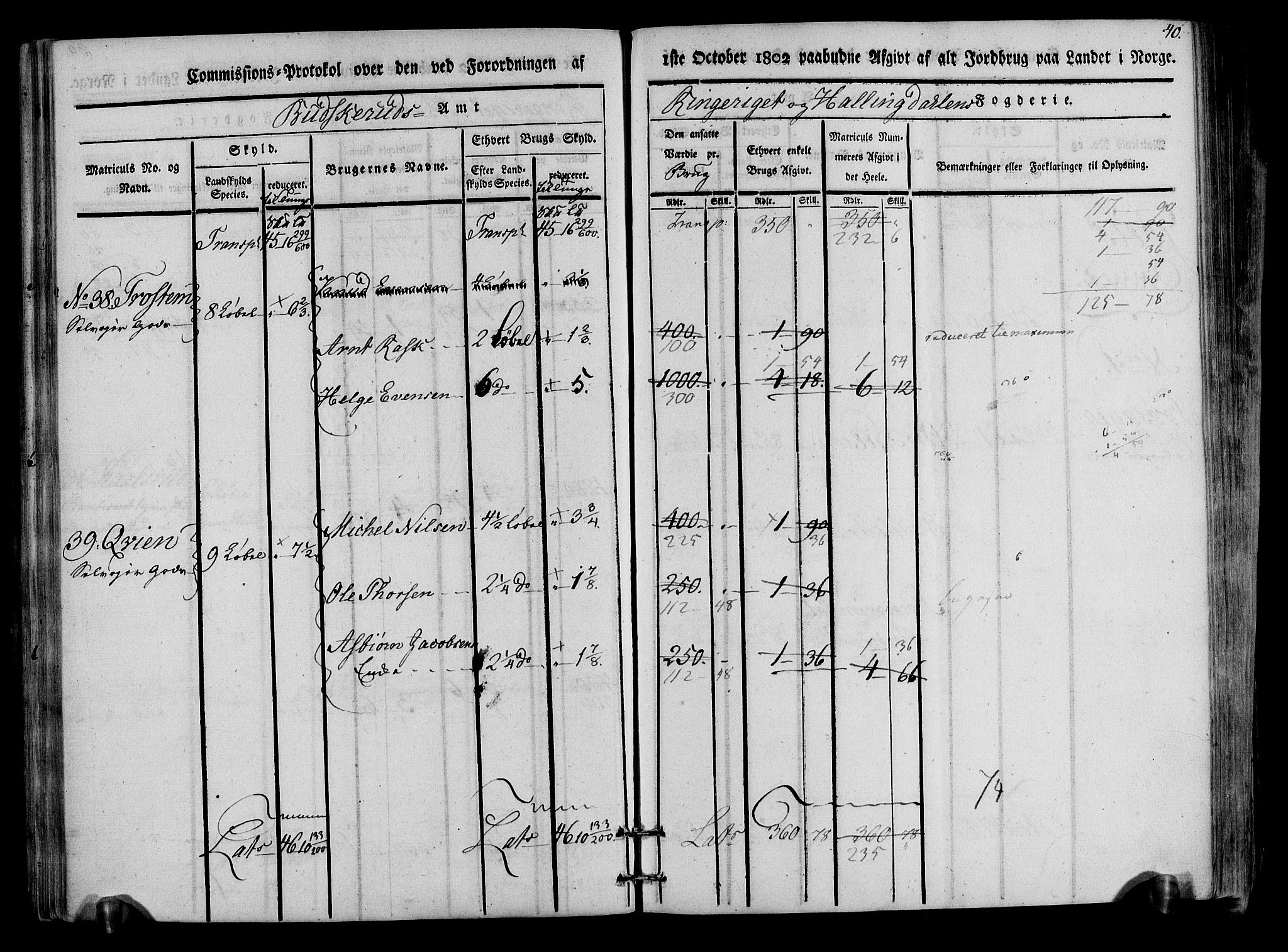 Rentekammeret inntil 1814, Realistisk ordnet avdeling, AV/RA-EA-4070/N/Ne/Nea/L0047: Ringerike og Hallingdal fogderi. Kommisjonsprotokoll for Nes prestegjeld, 1803, p. 42