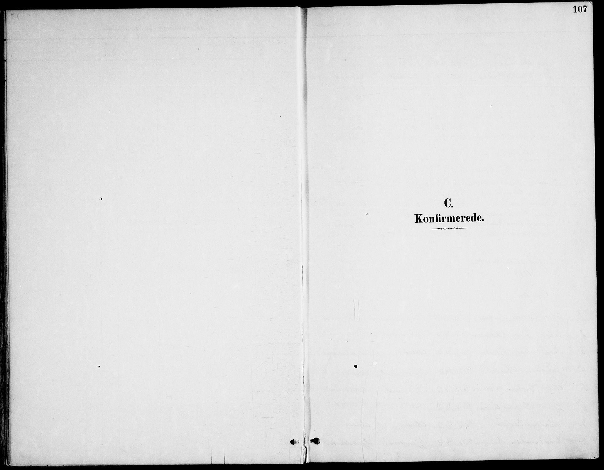 Ministerialprotokoller, klokkerbøker og fødselsregistre - Møre og Romsdal, SAT/A-1454/565/L0750: Parish register (official) no. 565A04, 1887-1905, p. 107