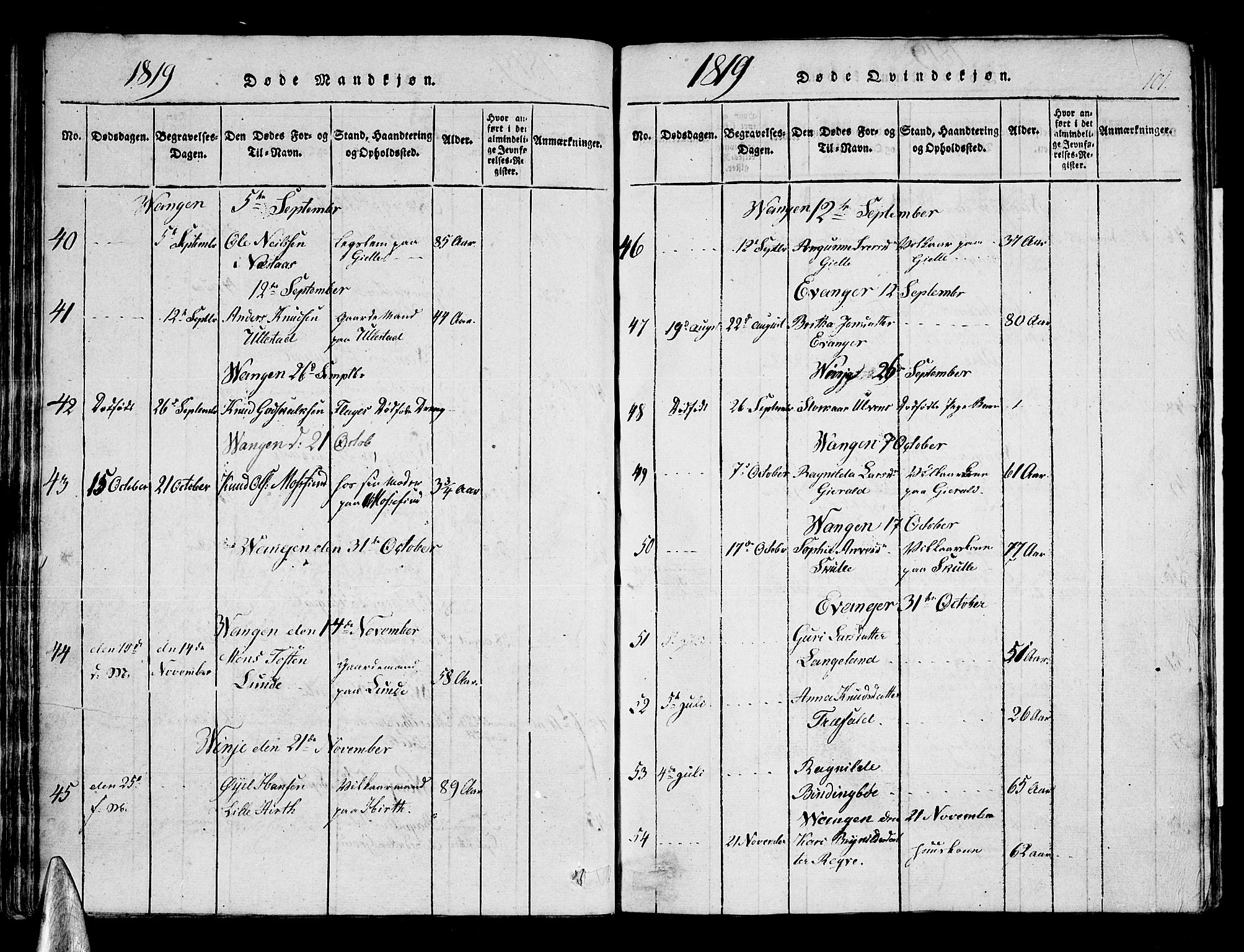 Voss sokneprestembete, AV/SAB-A-79001/H/Haa: Parish register (official) no. A 11, 1816-1827, p. 101